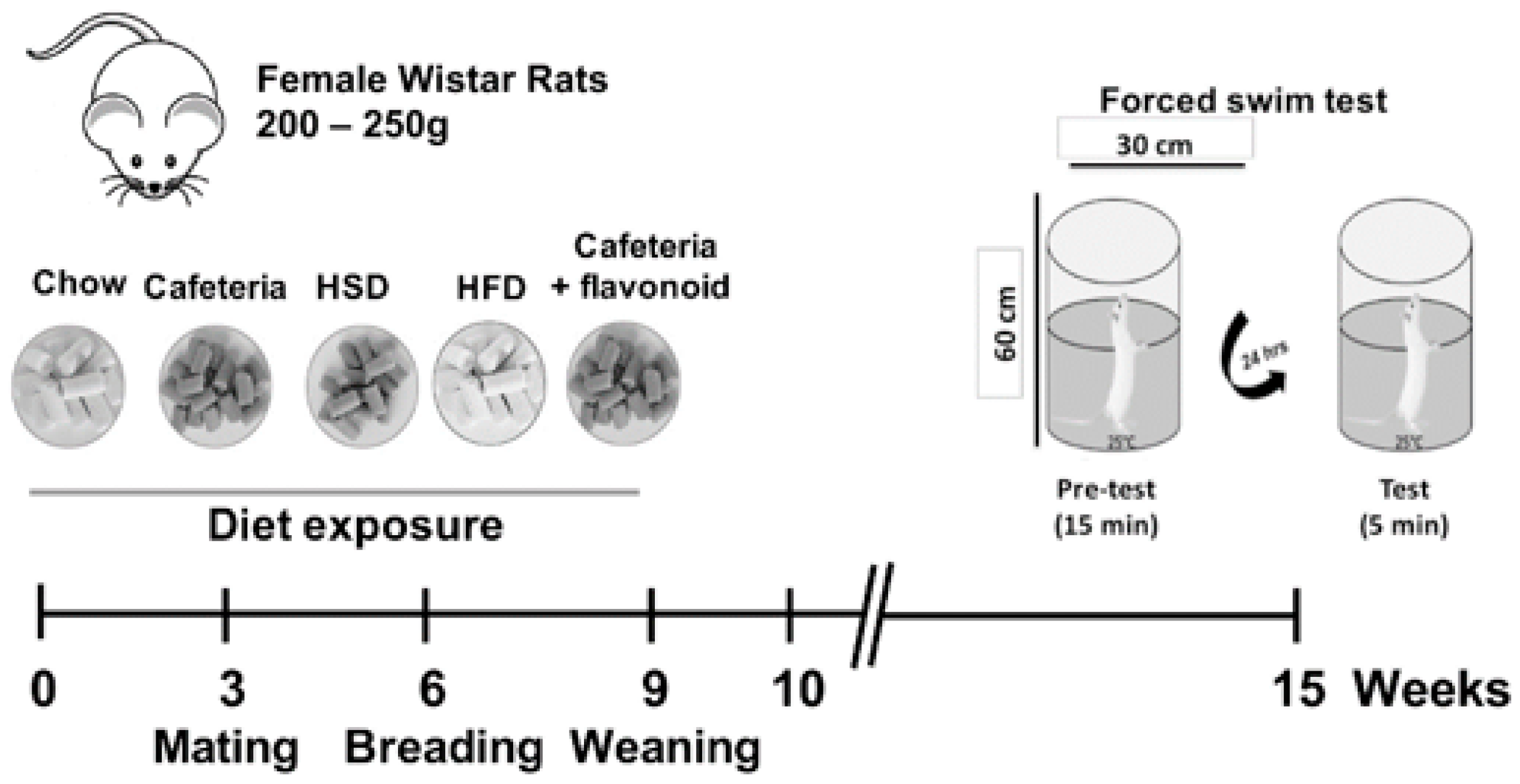 Nutrients 11 00572 g001