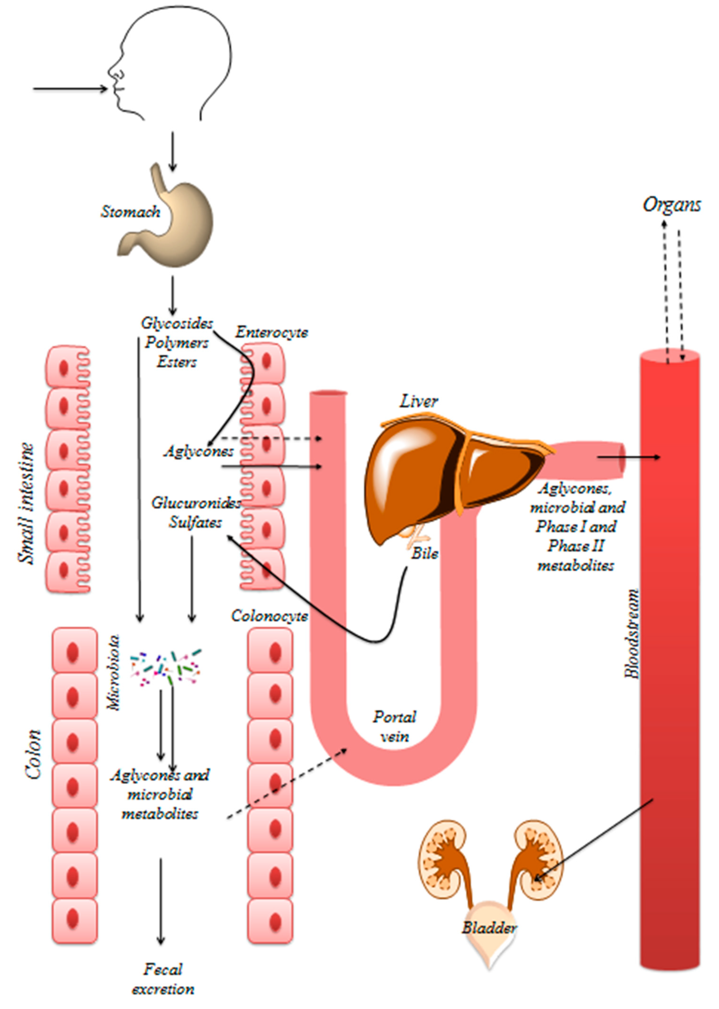 Nutrients 11 00578 g002