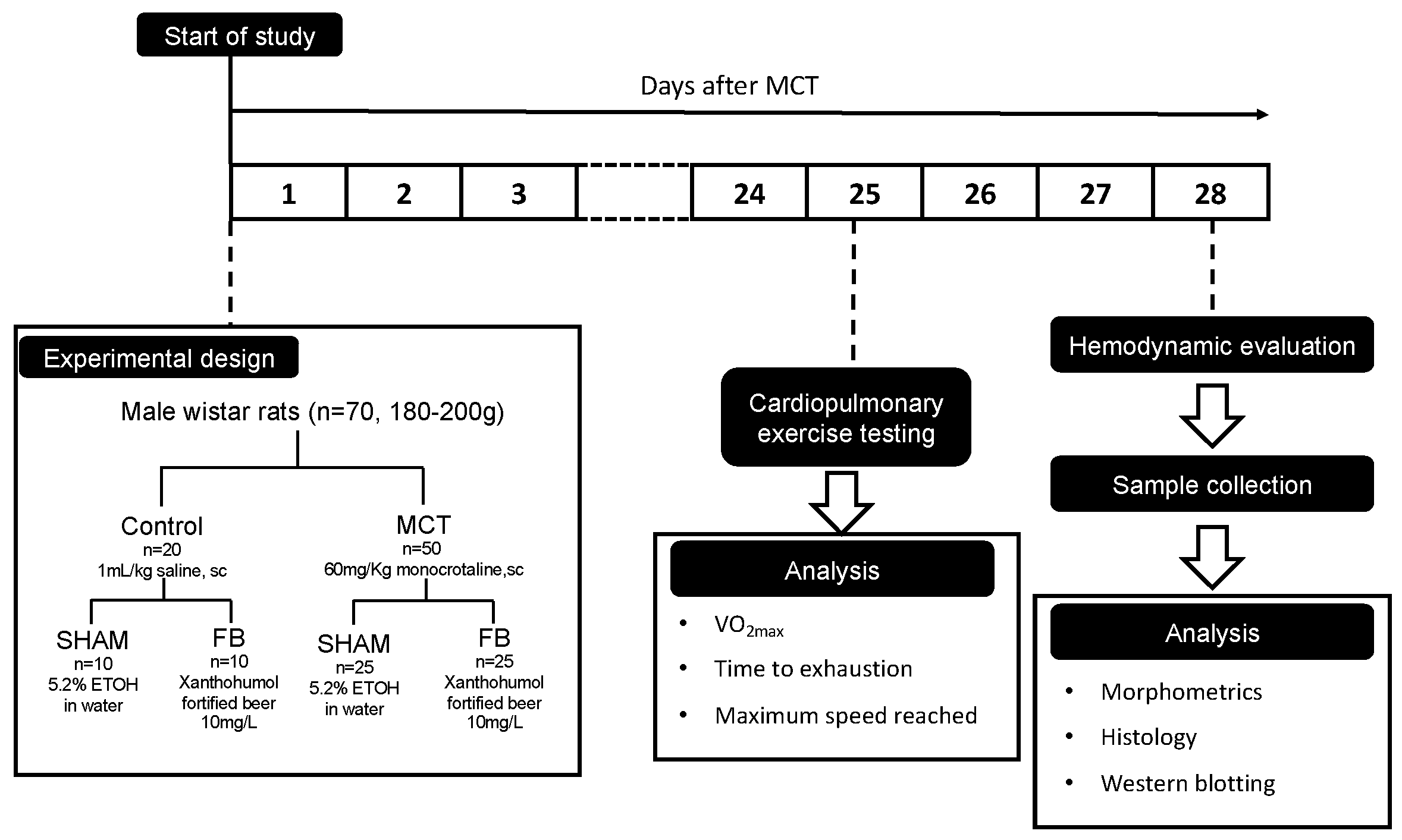 Nutrients 11 00583 g001 Nutrients 11 00583 g001