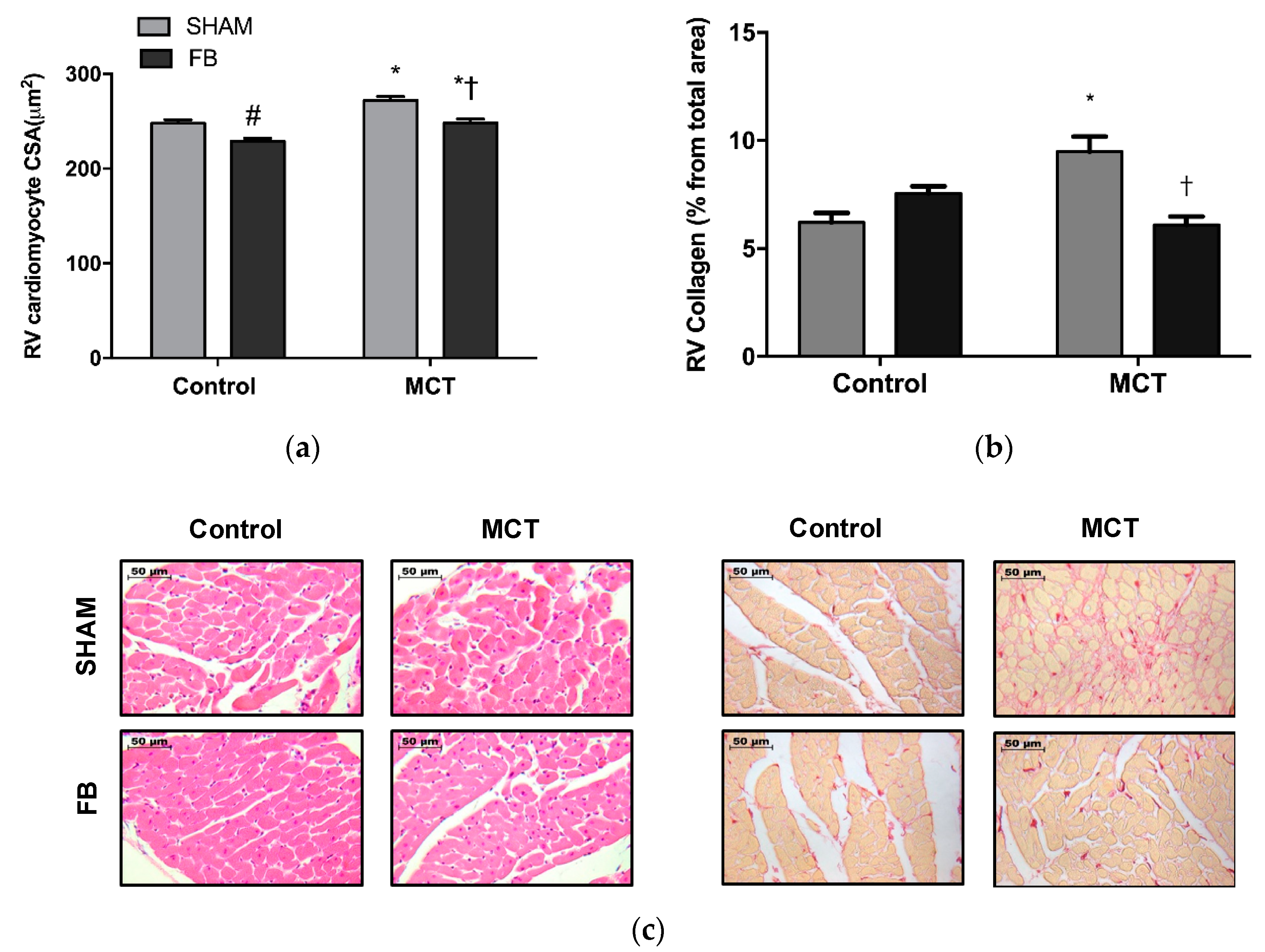 Nutrients 11 00583 g006a Nutrients 11 00583 g006a