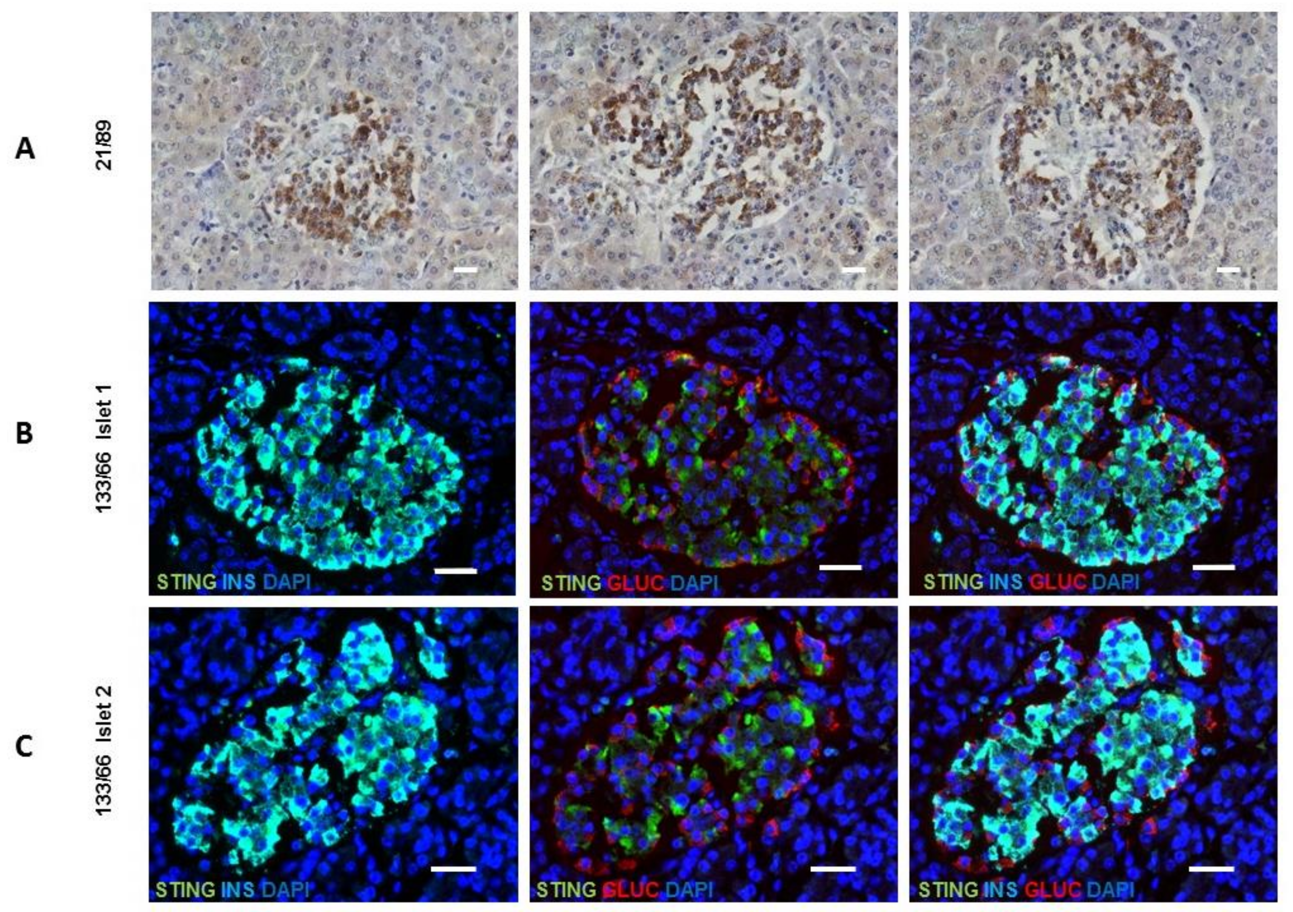 Nutrients 11 00605 g006