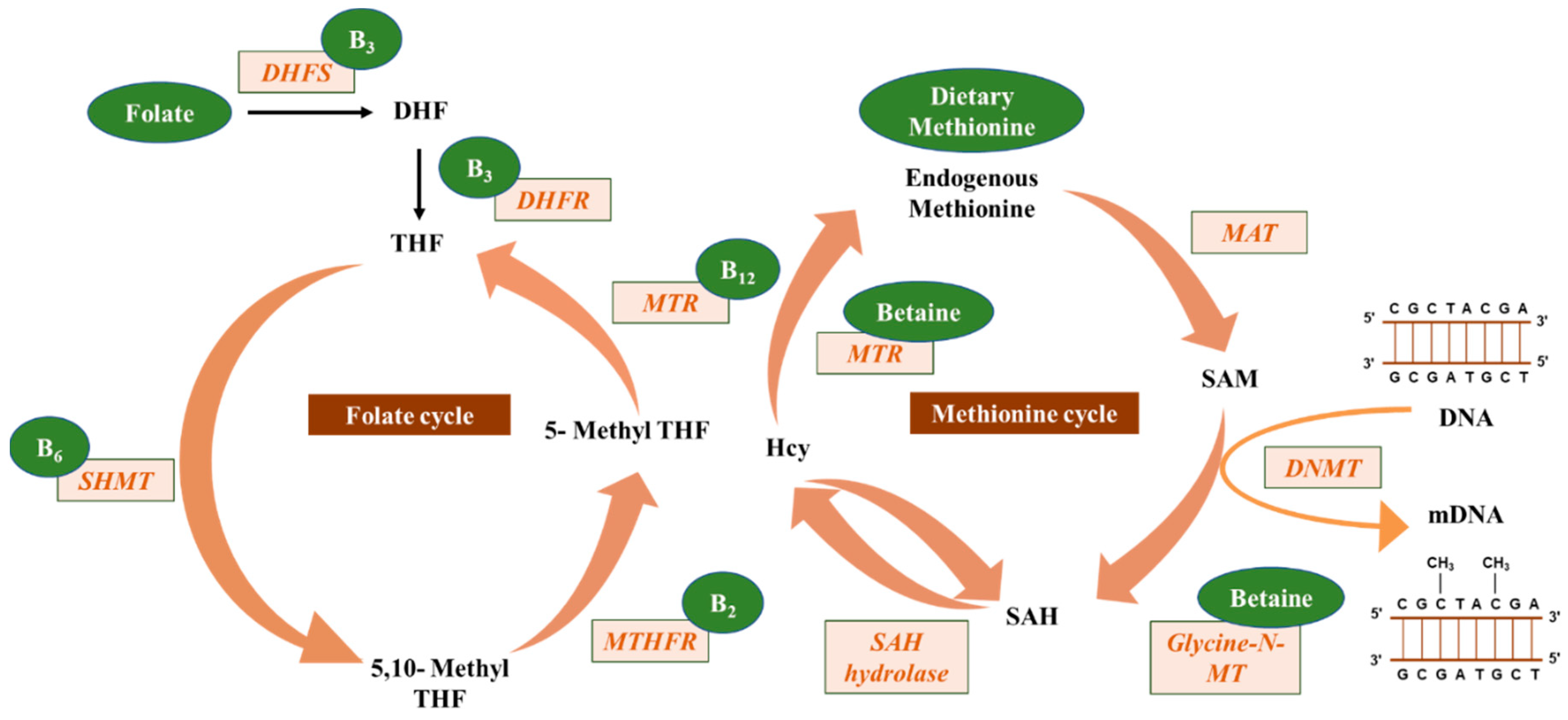 epub a qualitative approach to inverse scattering