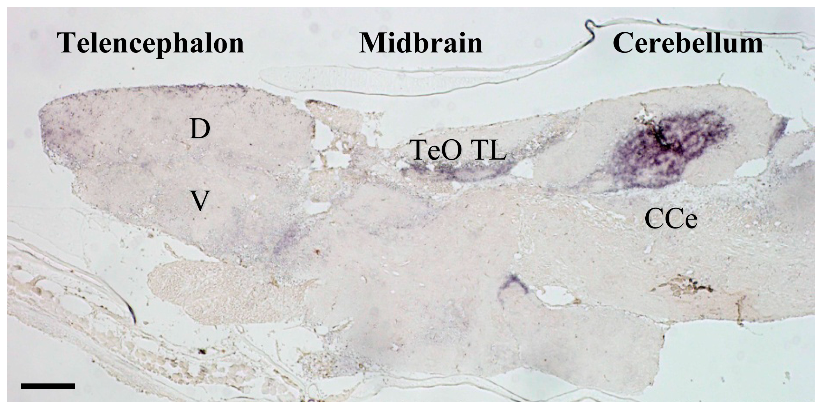 Nutrients 11 00611 g001