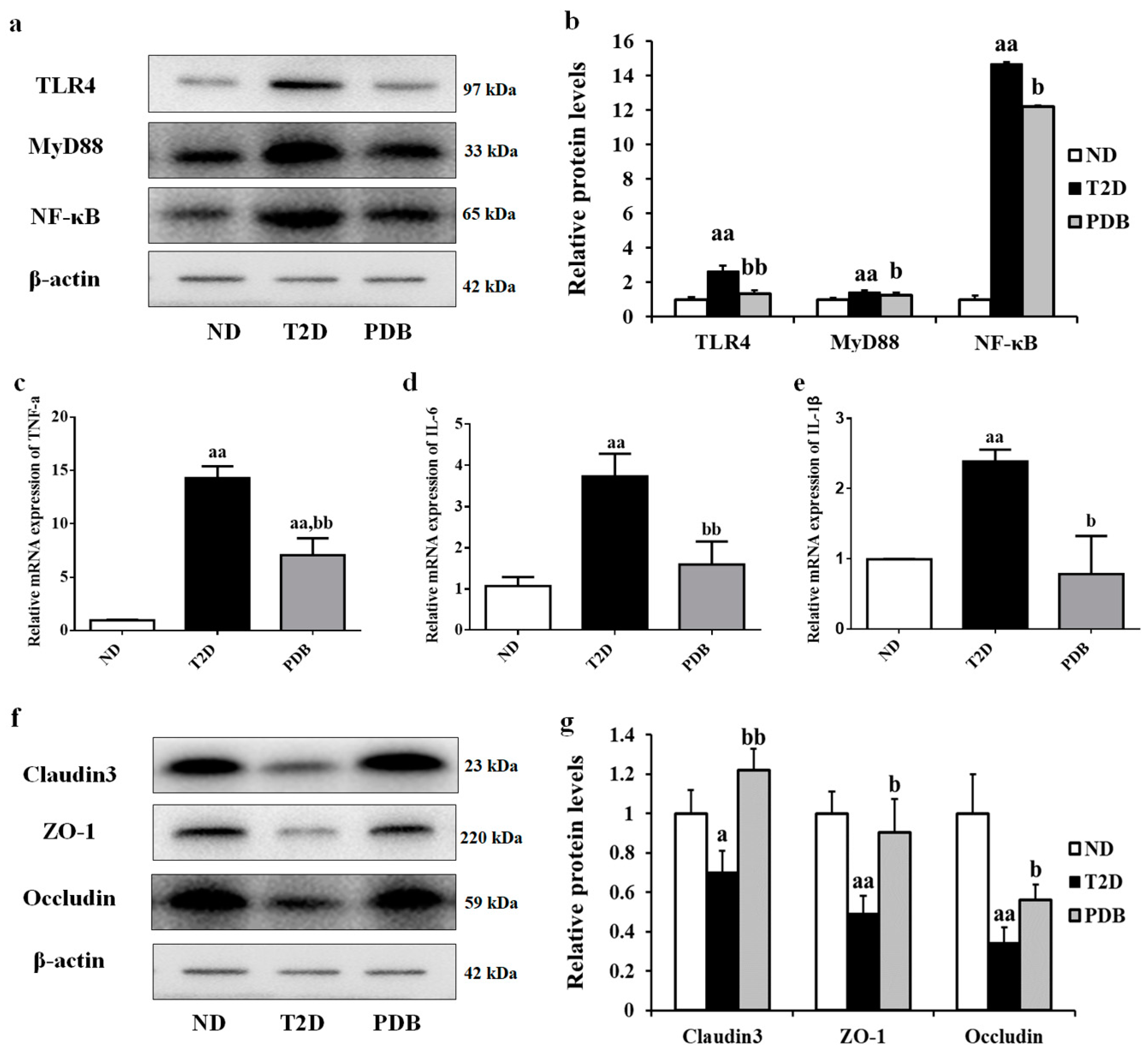 Nutrients 11 00670 g007 Nutrients 11 00670 g007
