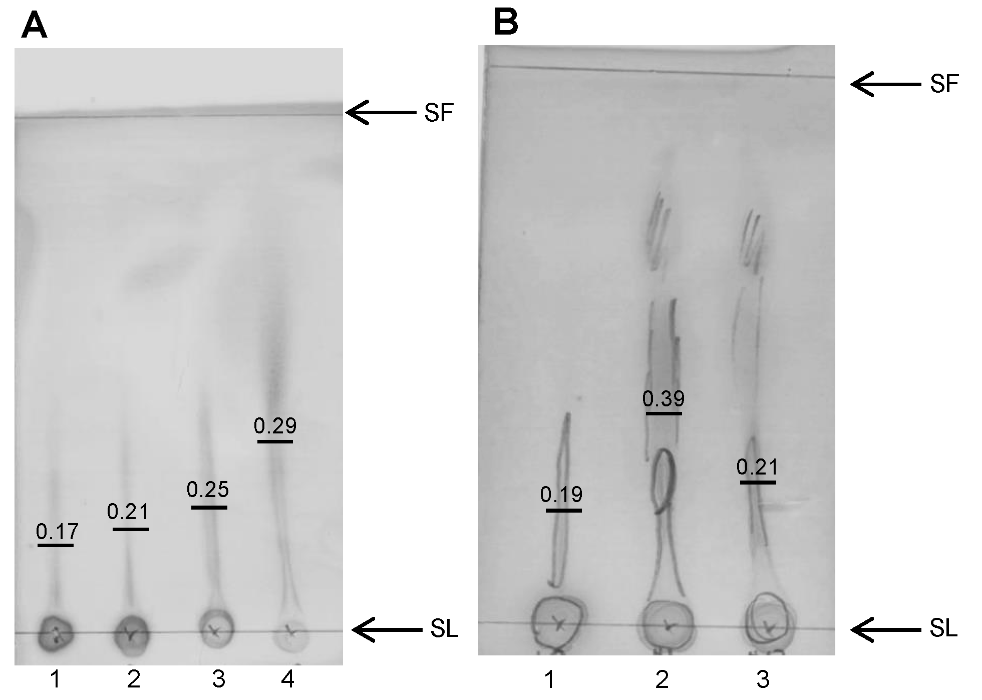 Nutrients 11 00674 g006 Nutrients 11 00674 g006