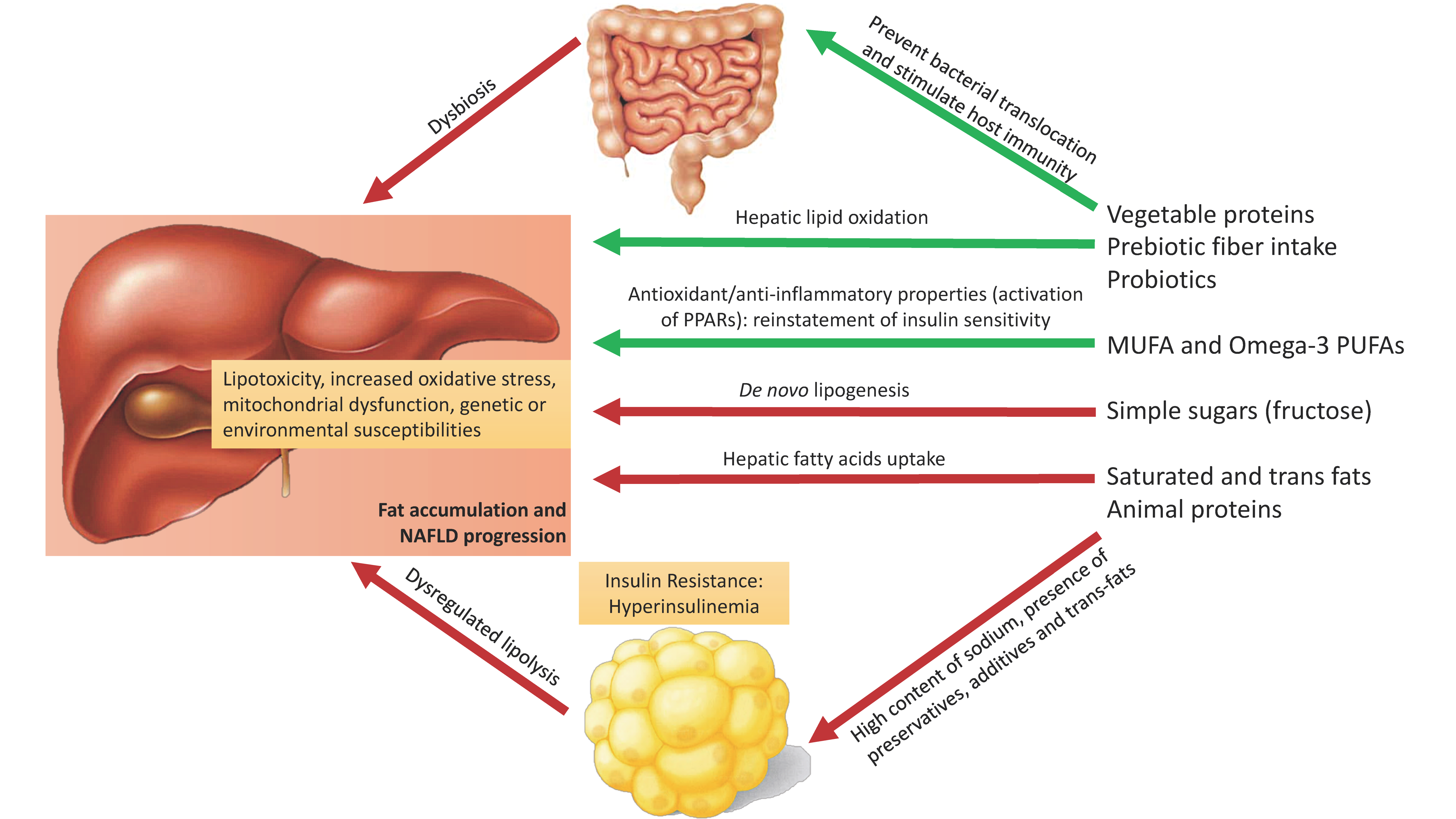 Nutrients | Free Full-Text | Impact of Nutritional Changes on