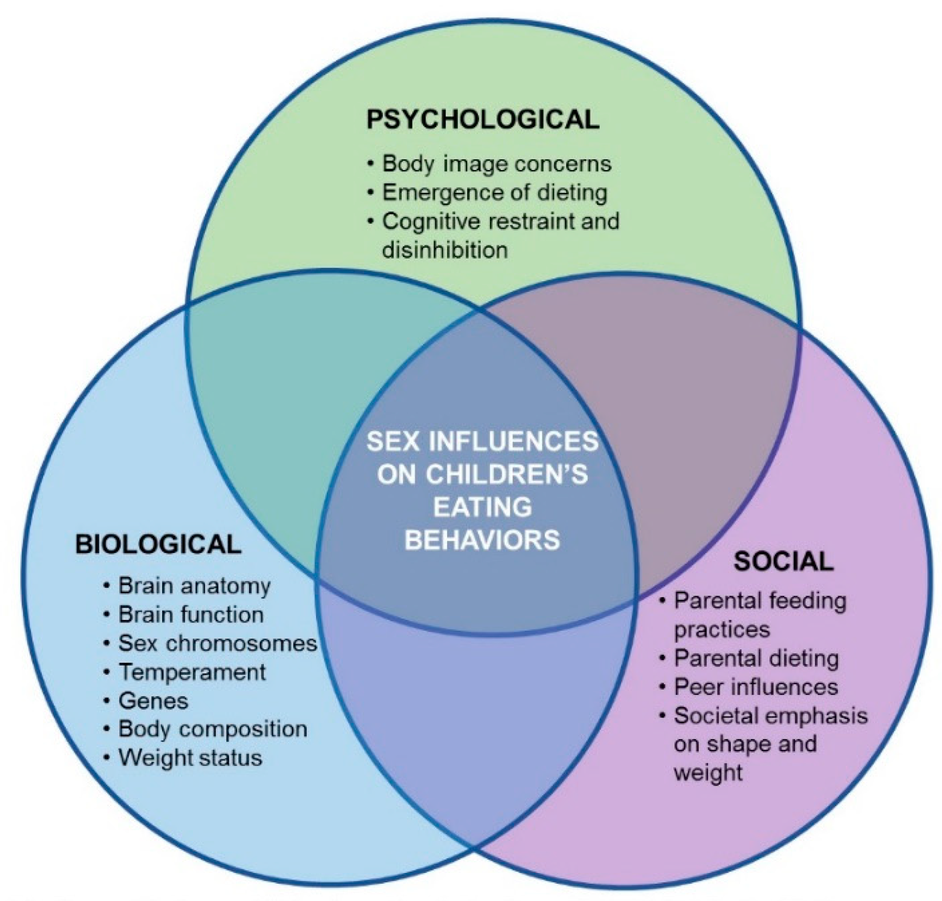 The Biopsychosocial Model