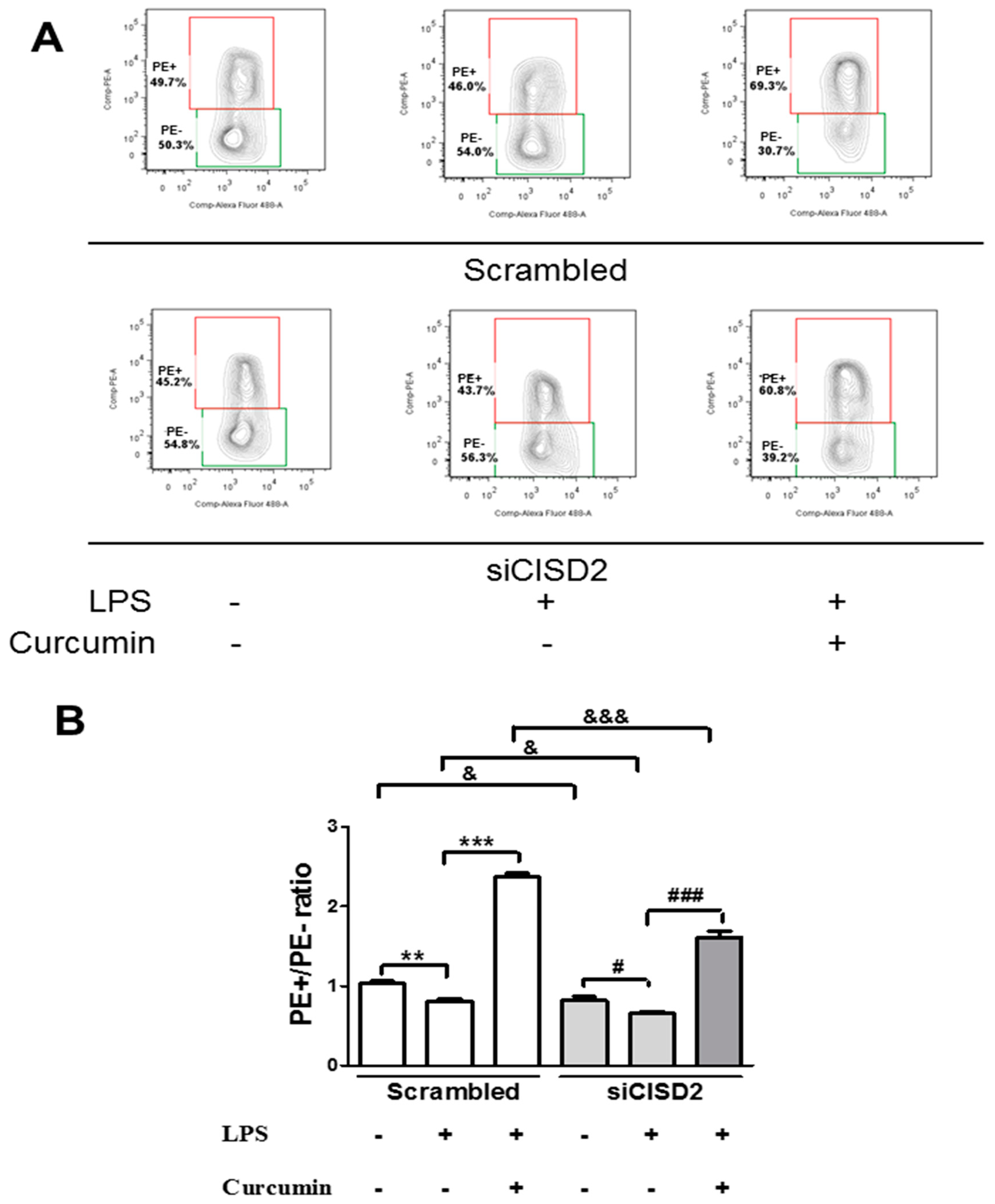 Nutrients 11 00700 g004 Nutrients 11 00700 g004