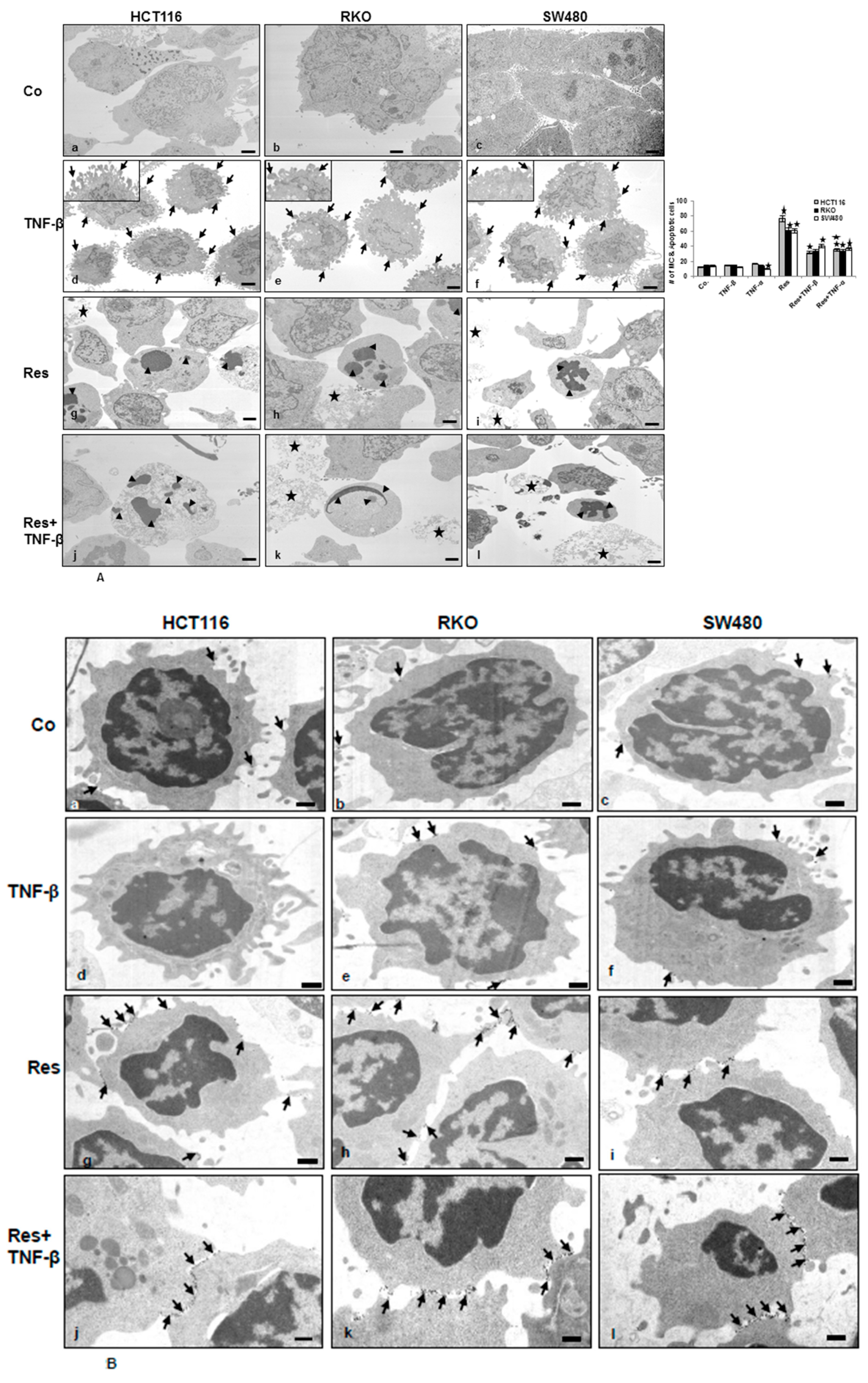 Nutrients 11 00704 g002 Nutrients 11 00704 g002