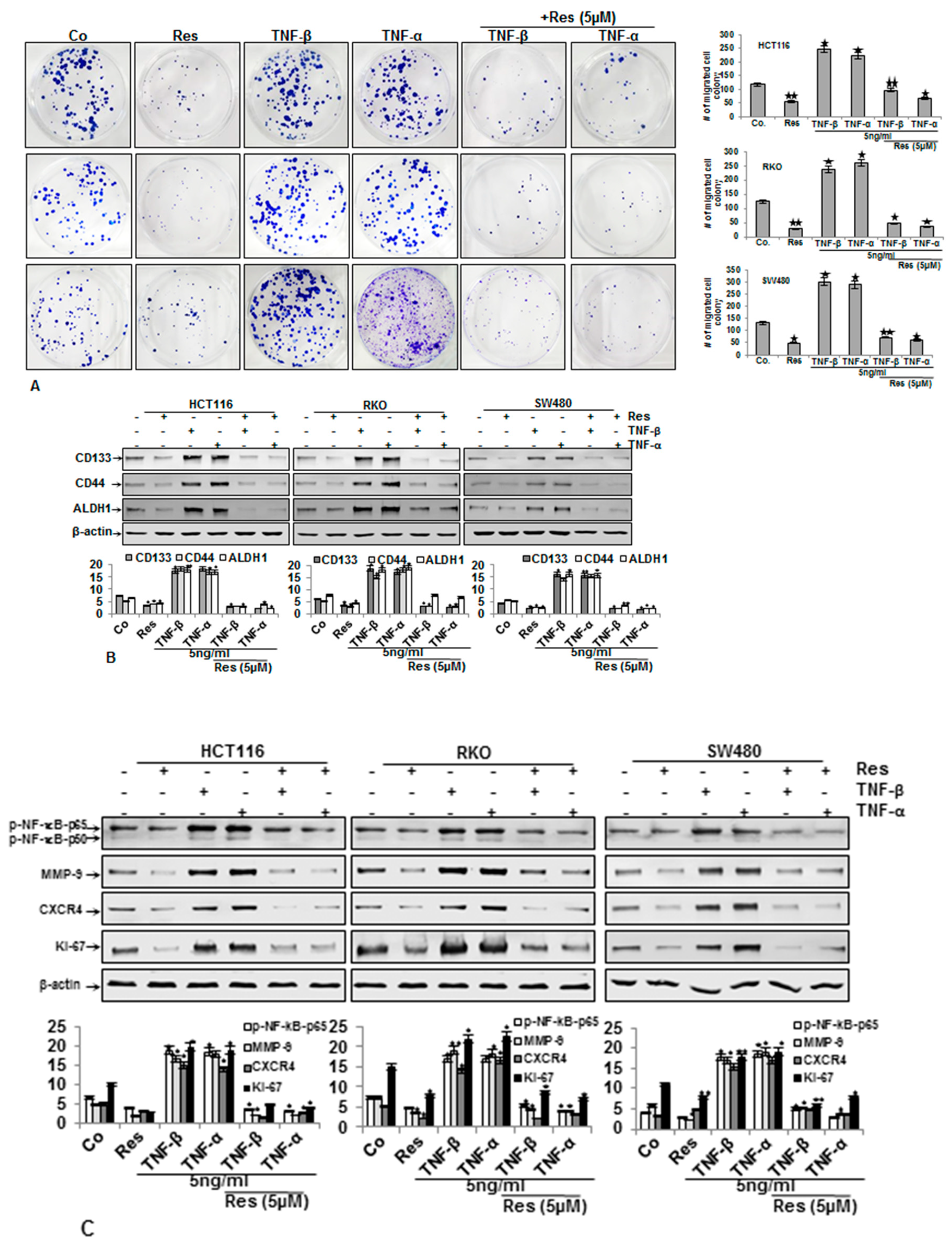 Nutrients 11 00704 g003 Nutrients 11 00704 g003
