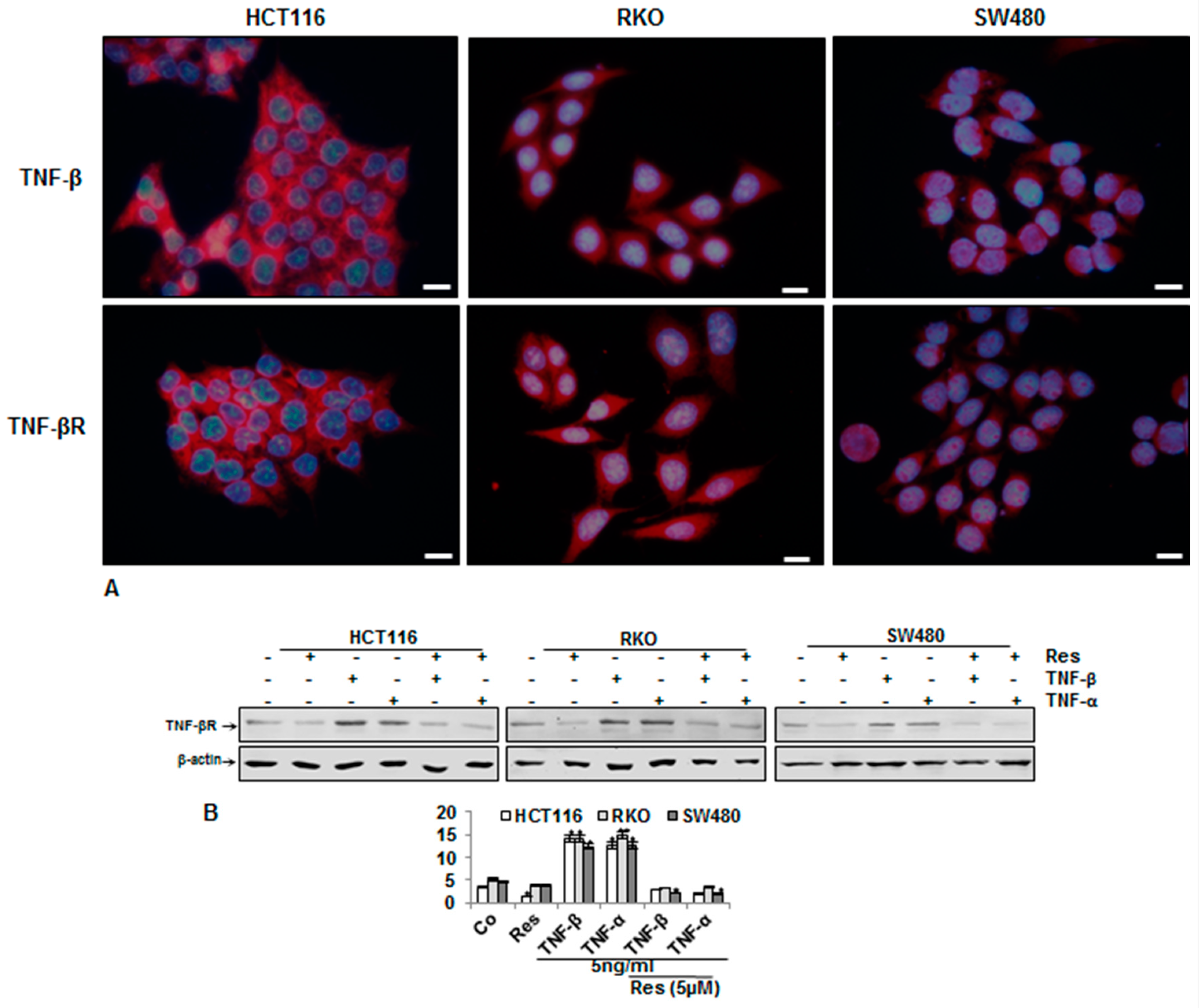 Nutrients 11 00704 g004 Nutrients 11 00704 g004