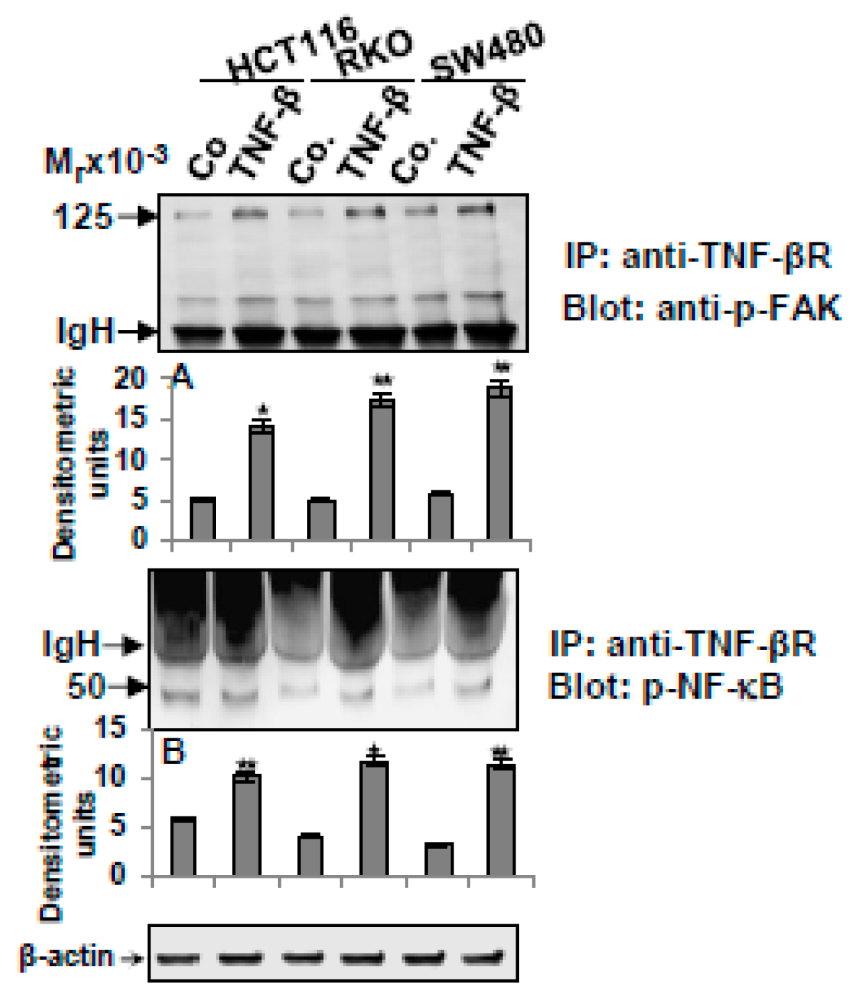 Nutrients 11 00704 g006 Nutrients 11 00704 g006