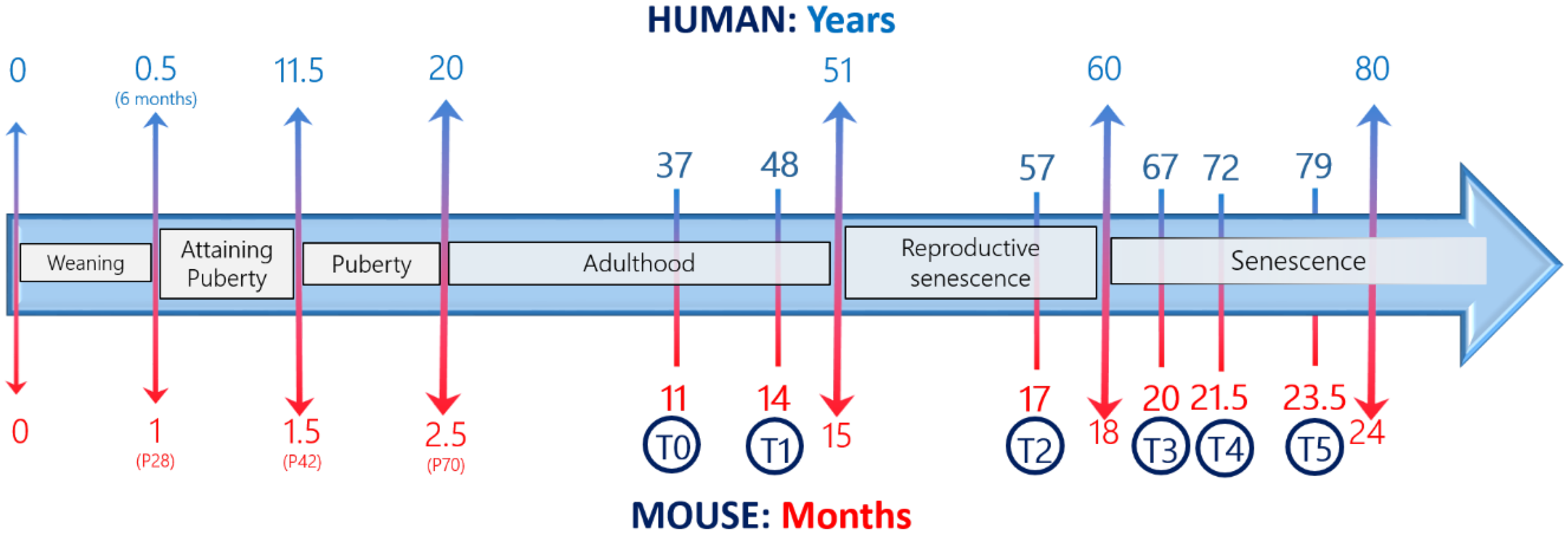 Nutrients 11 00715 g001