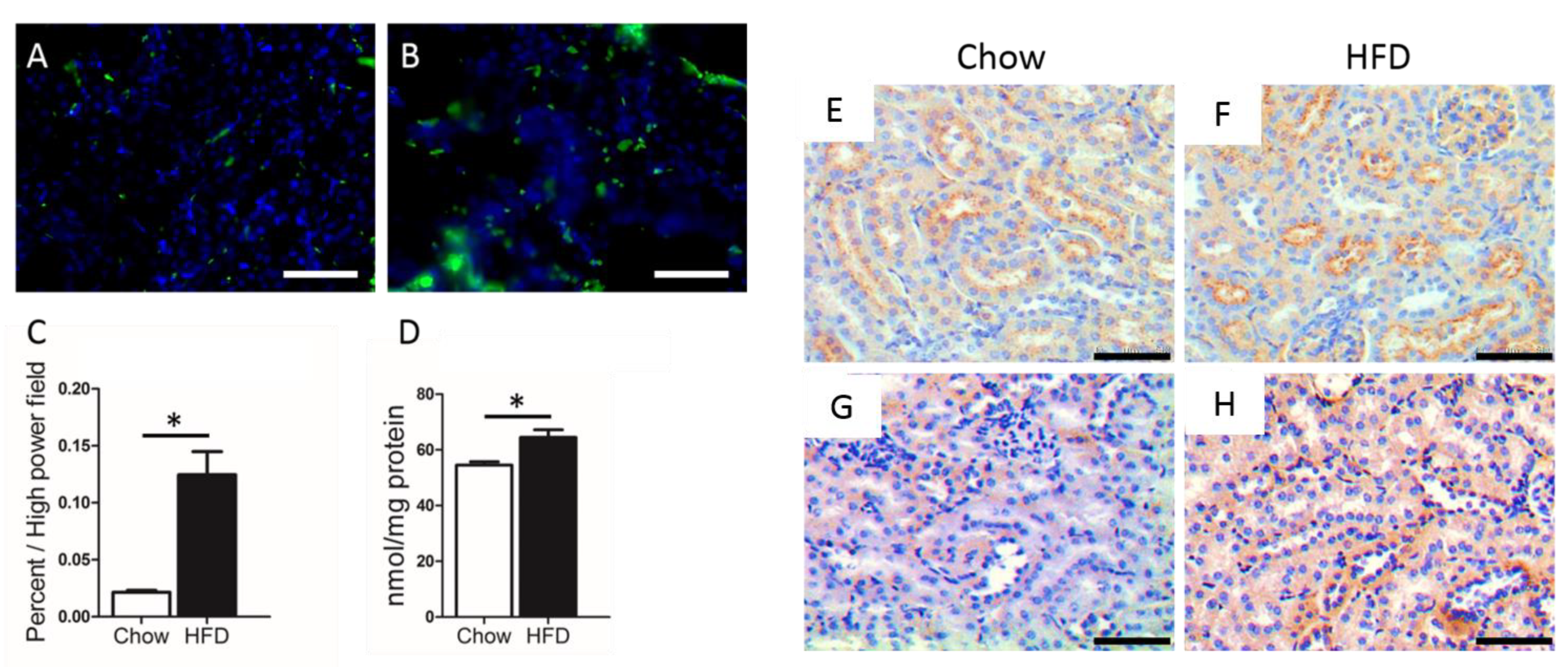 Nutrients 11 00722 g001 Nutrients 11 00722 g001