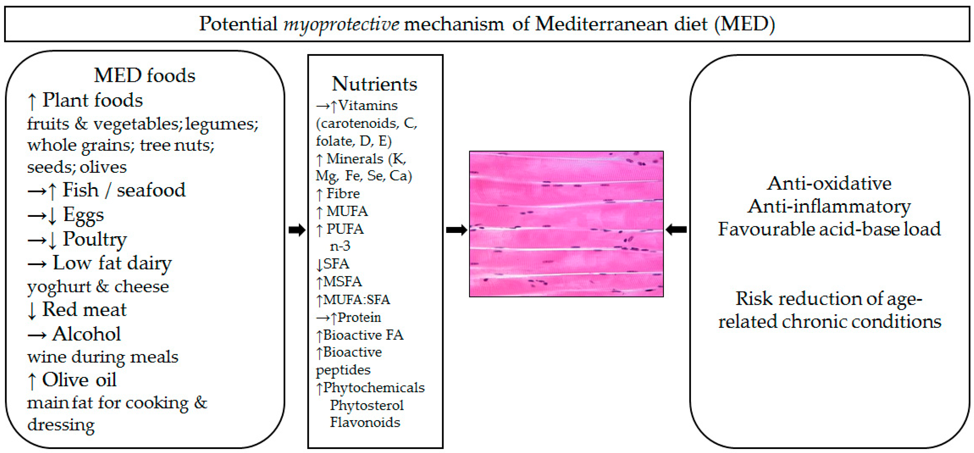 Nutrients 11 00745 g001