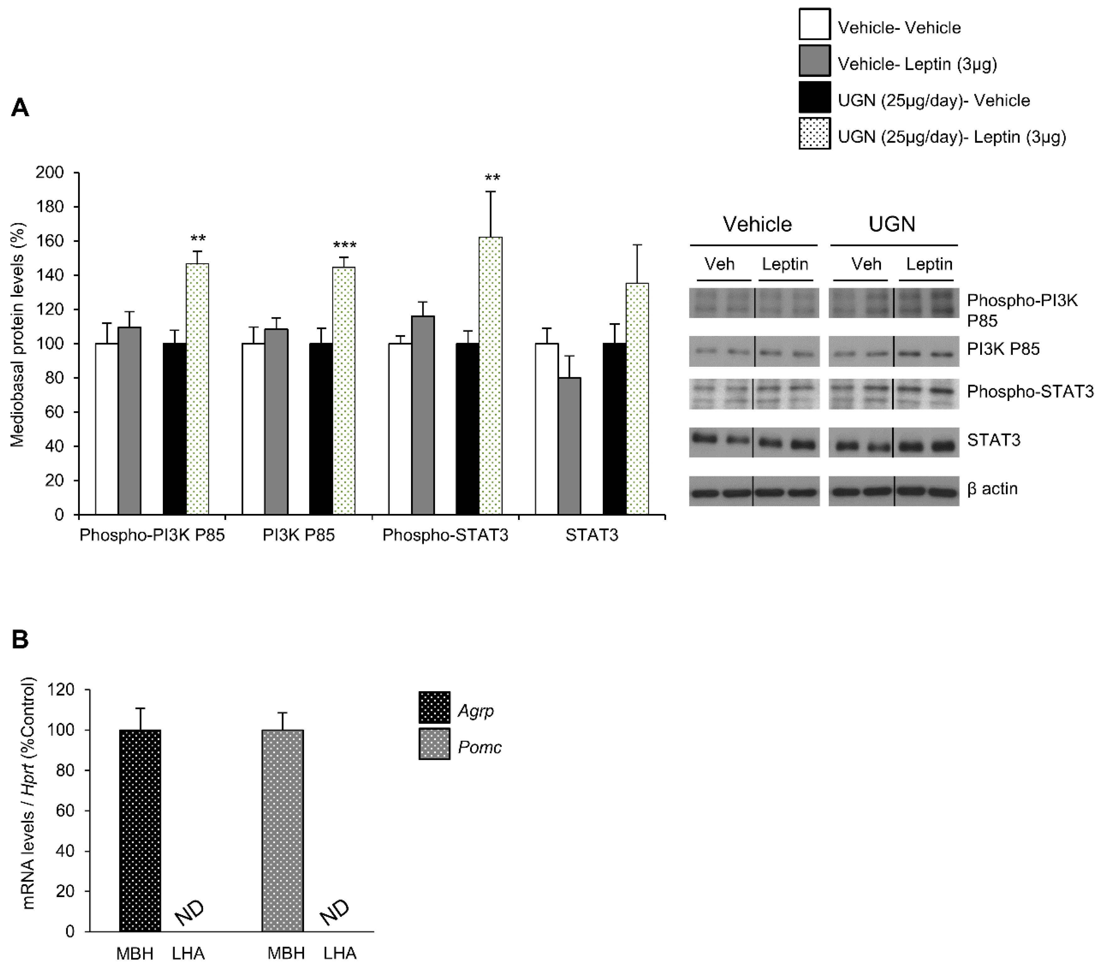 Nutrients 11 00752 g002