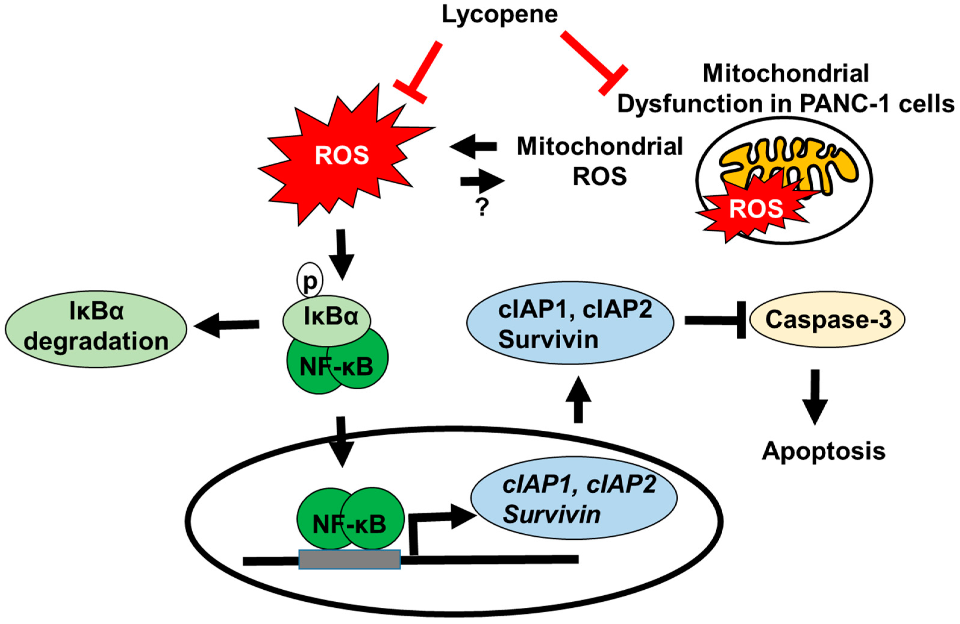 Nutrients 11 00762 g006 Nutrients 11 00762 g006