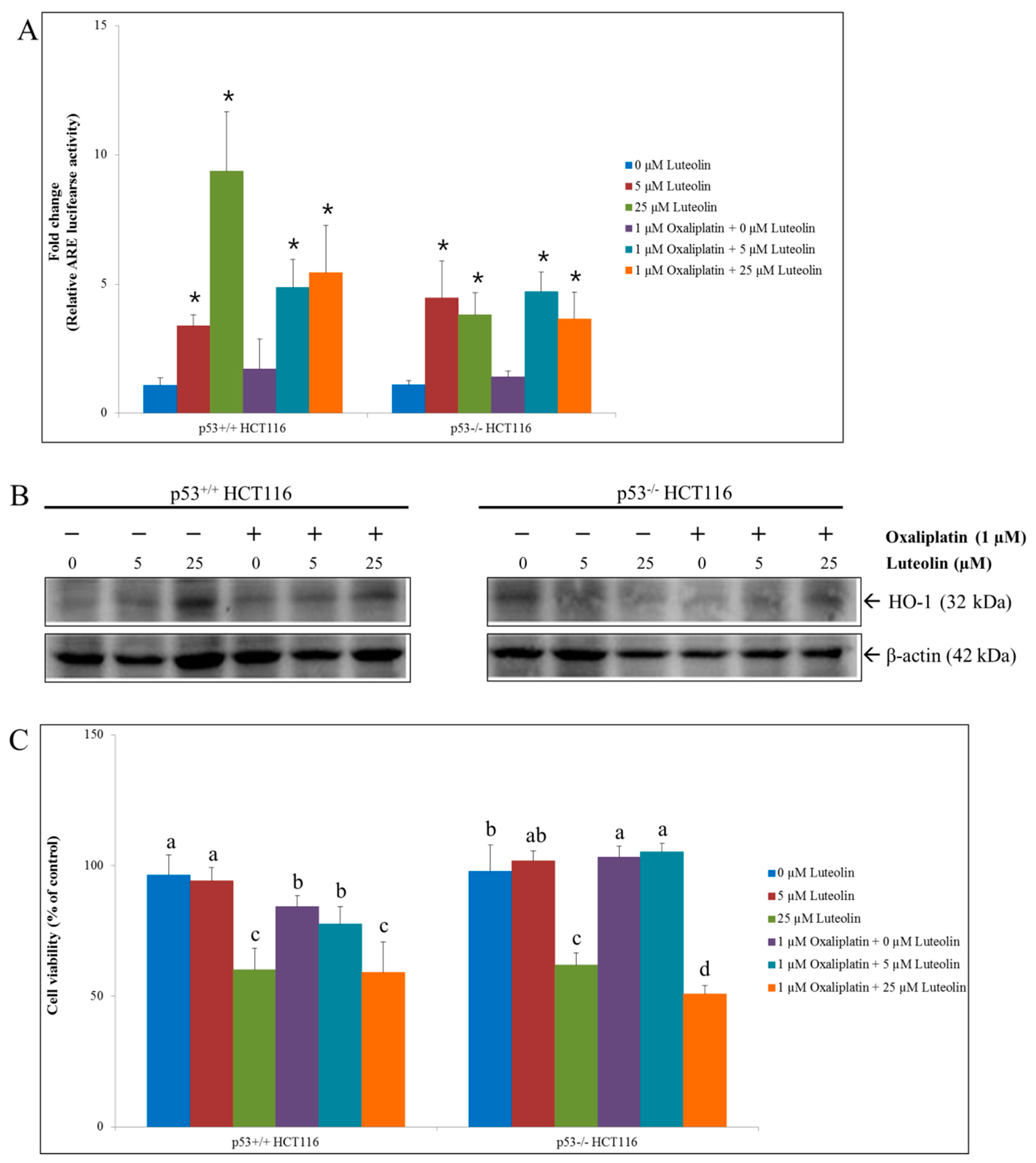 Nutrients 11 00770 g002 Nutrients 11 00770 g002