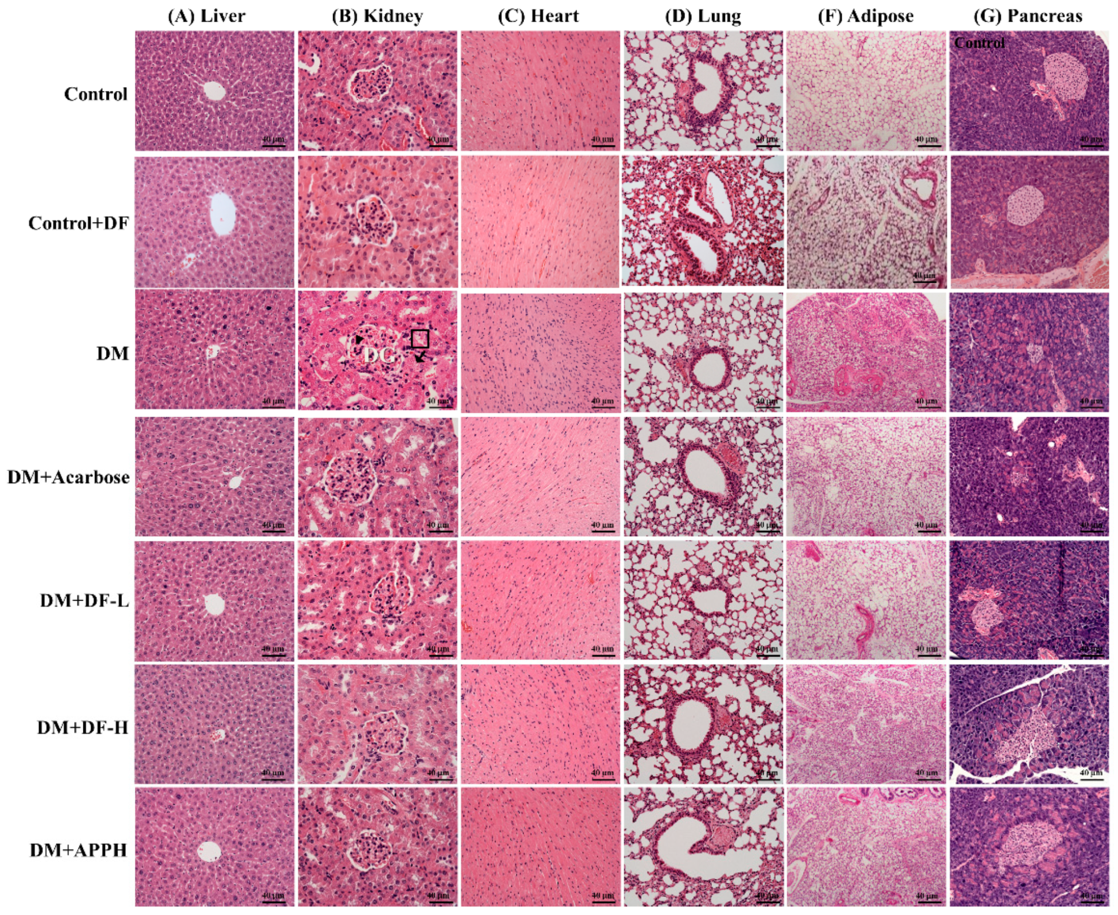 Nutrients 11 00779 g004 Nutrients 11 00779 g004
