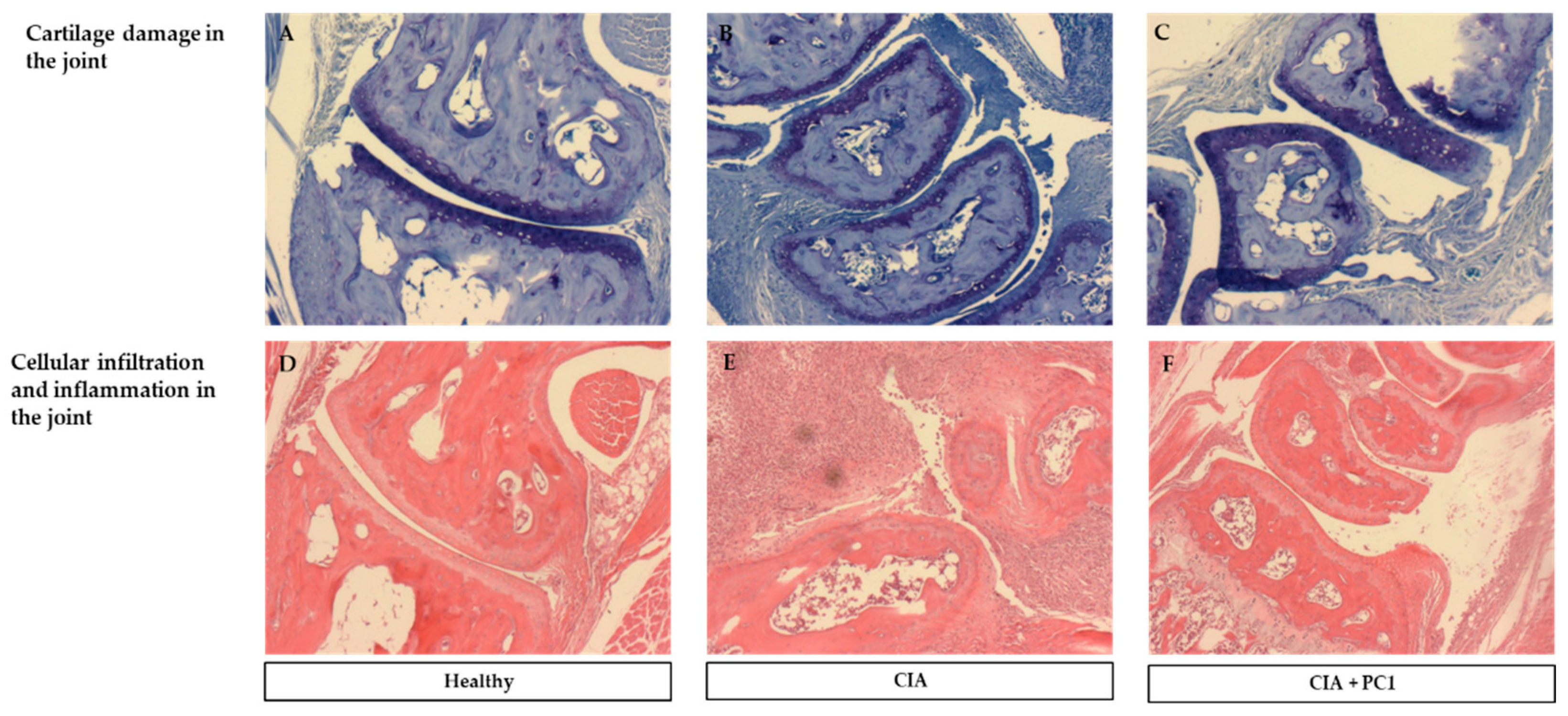 Nutrients 11 00785 g002 Nutrients 11 00785 g002