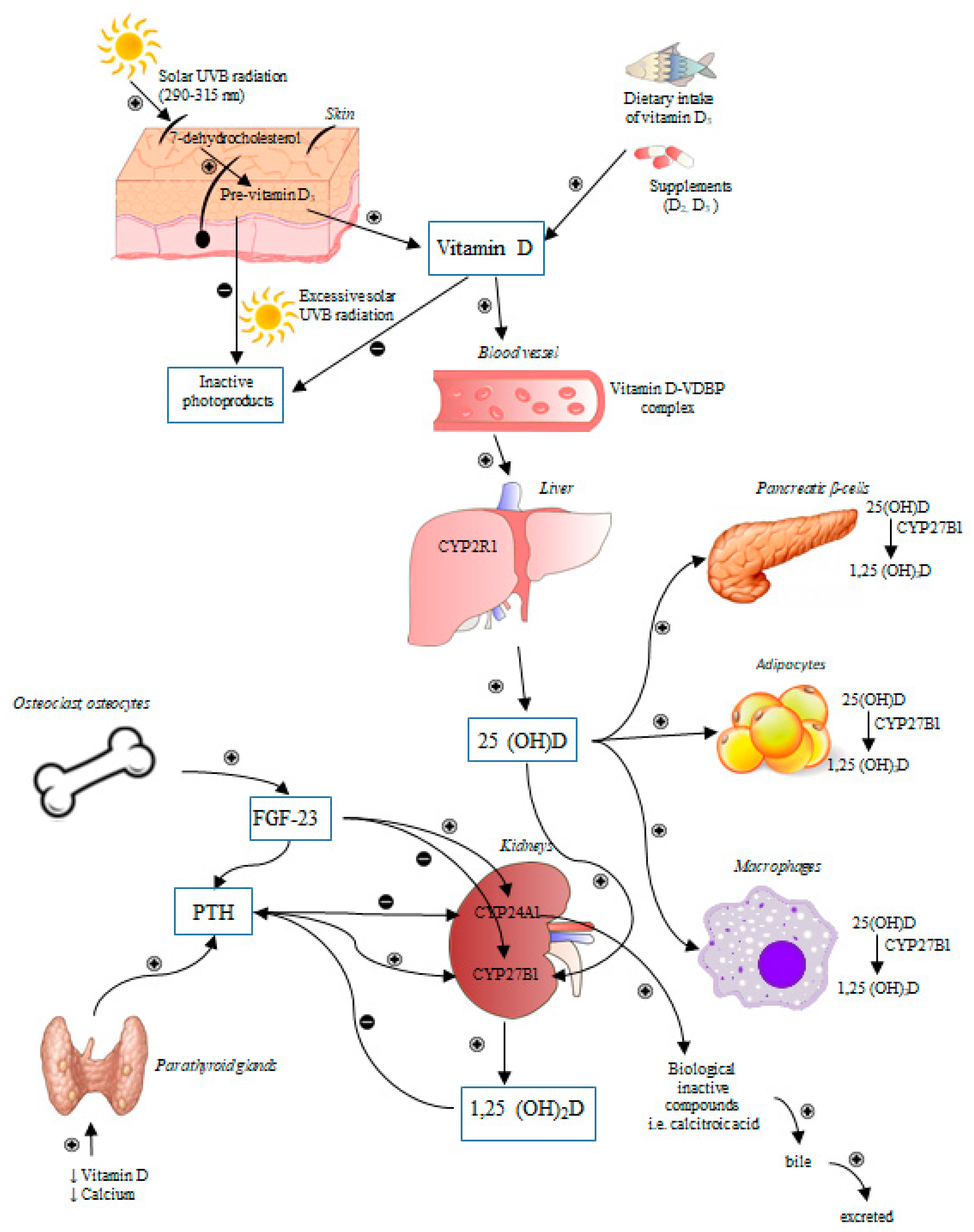 Nutrients, Free Full-Text