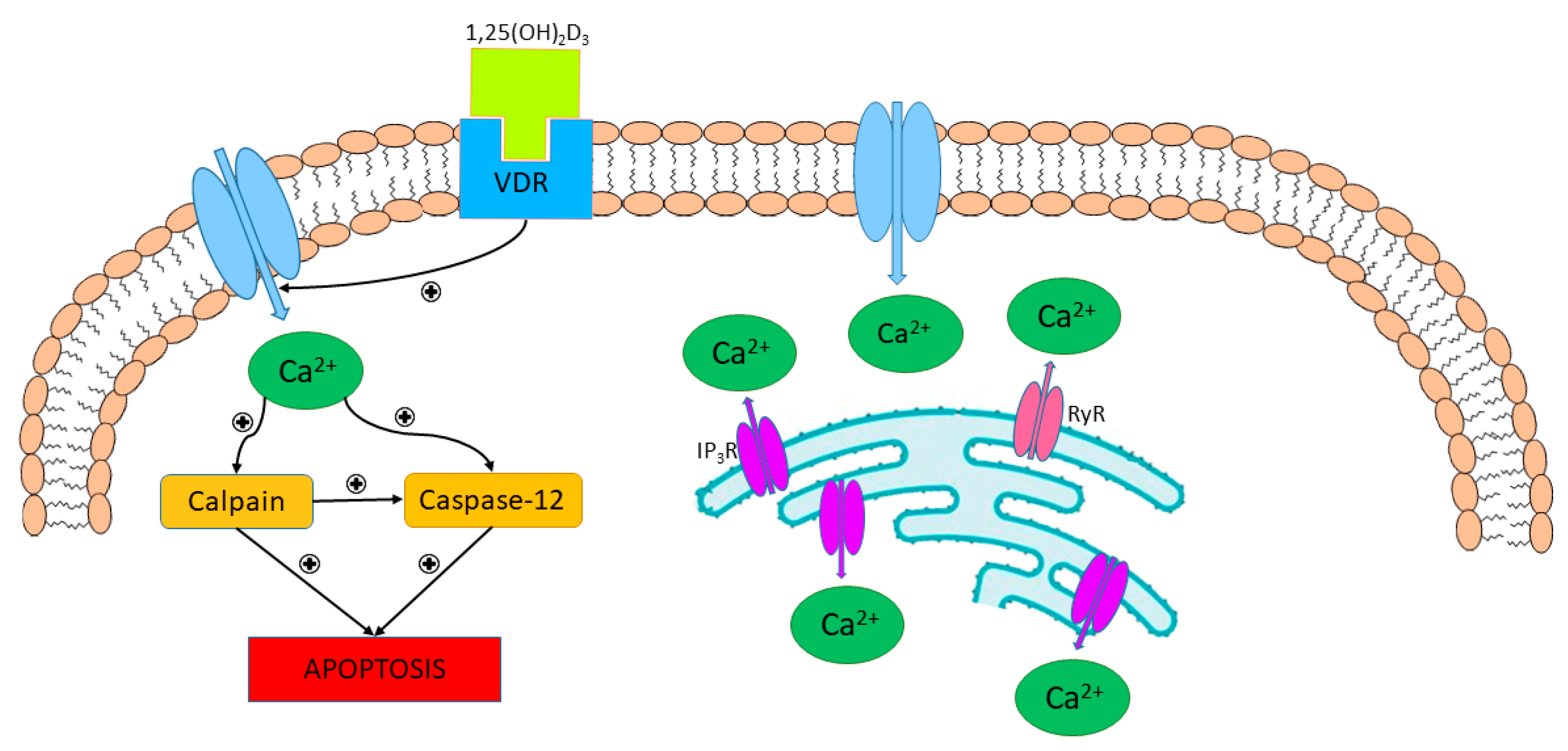 Nutrients 11 00794 g005