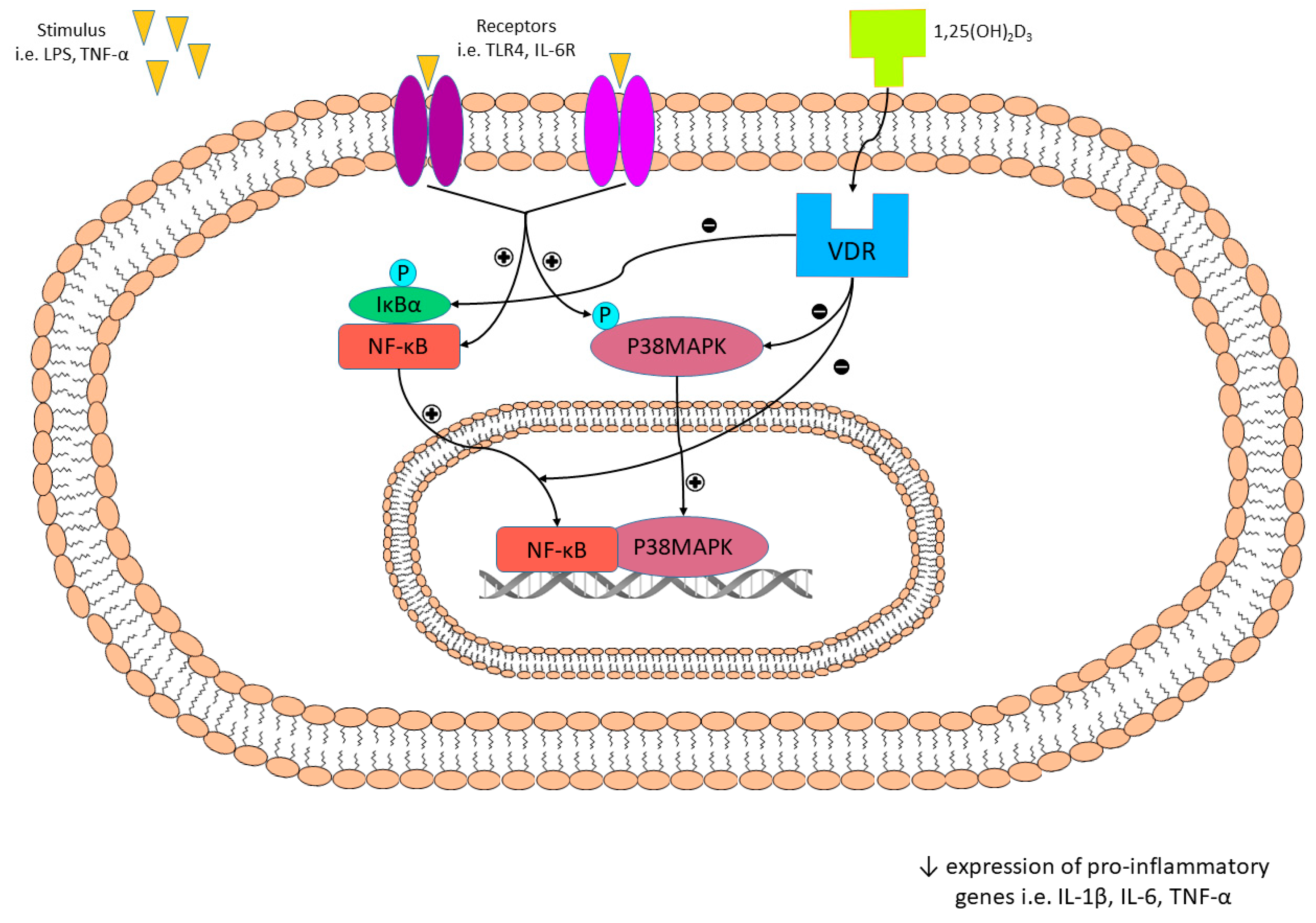 Nutrients 11 00794 g006