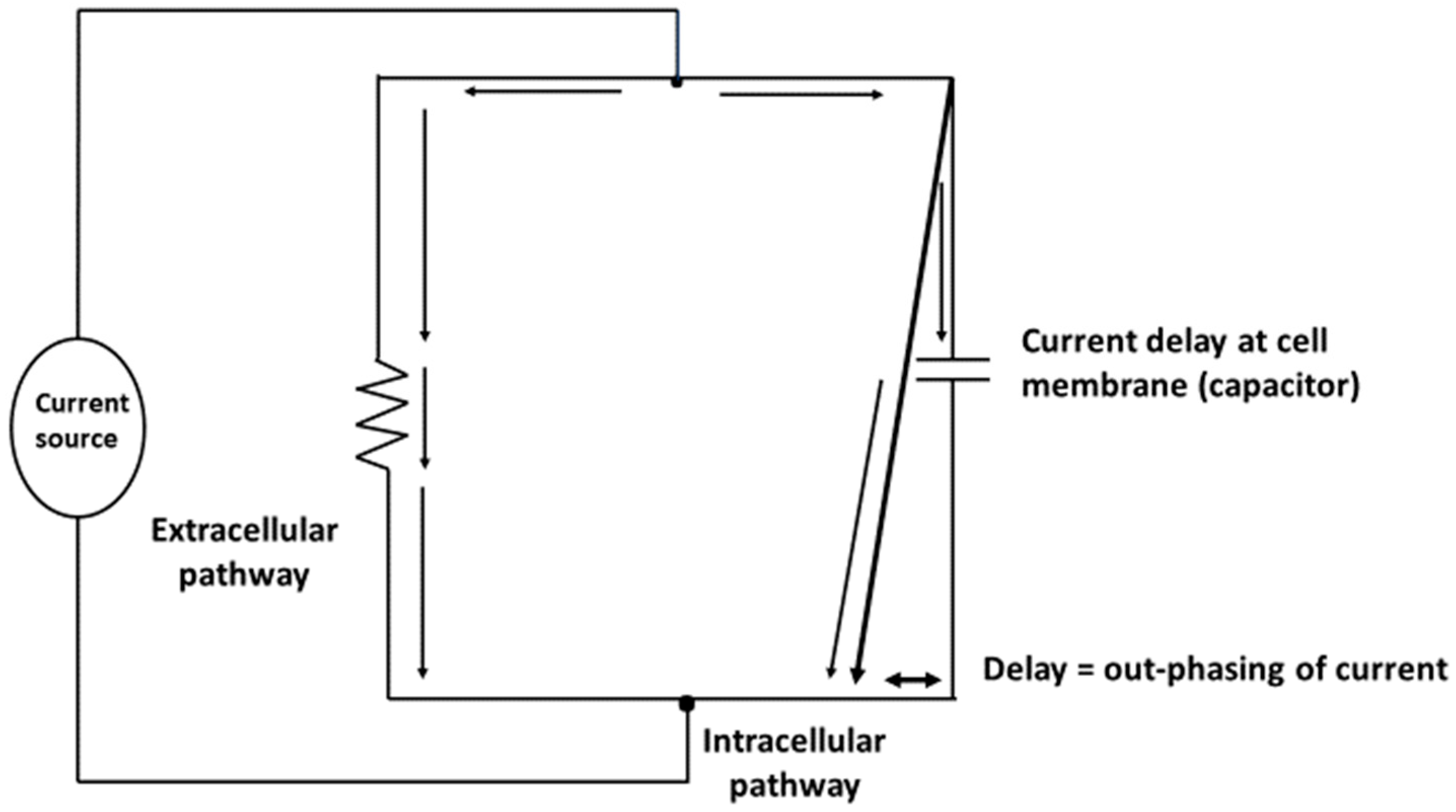 Nutrients 11 00809 g002 Nutrients 11 00809 g002