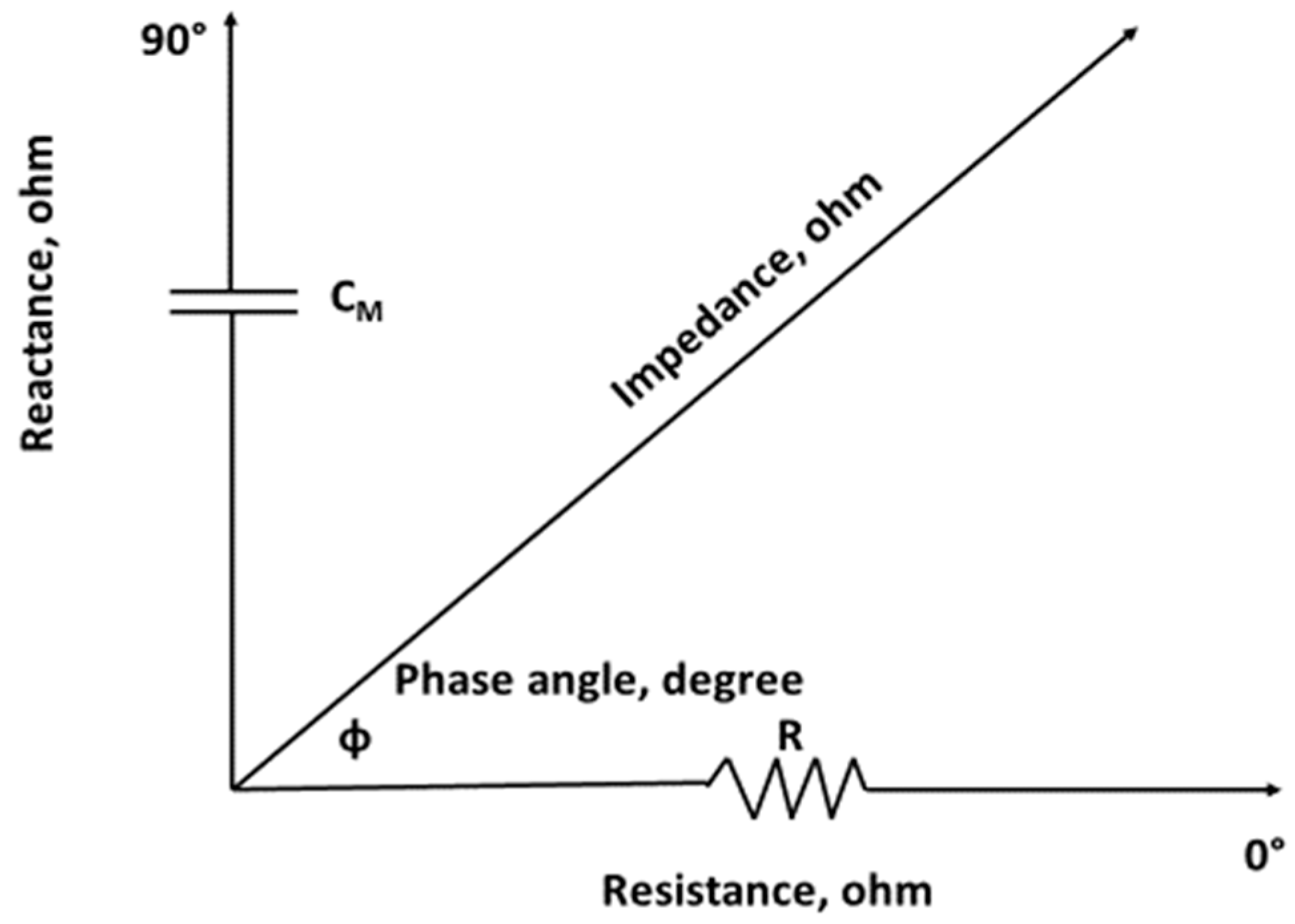 Nutrients 11 00809 g003 Nutrients 11 00809 g003
