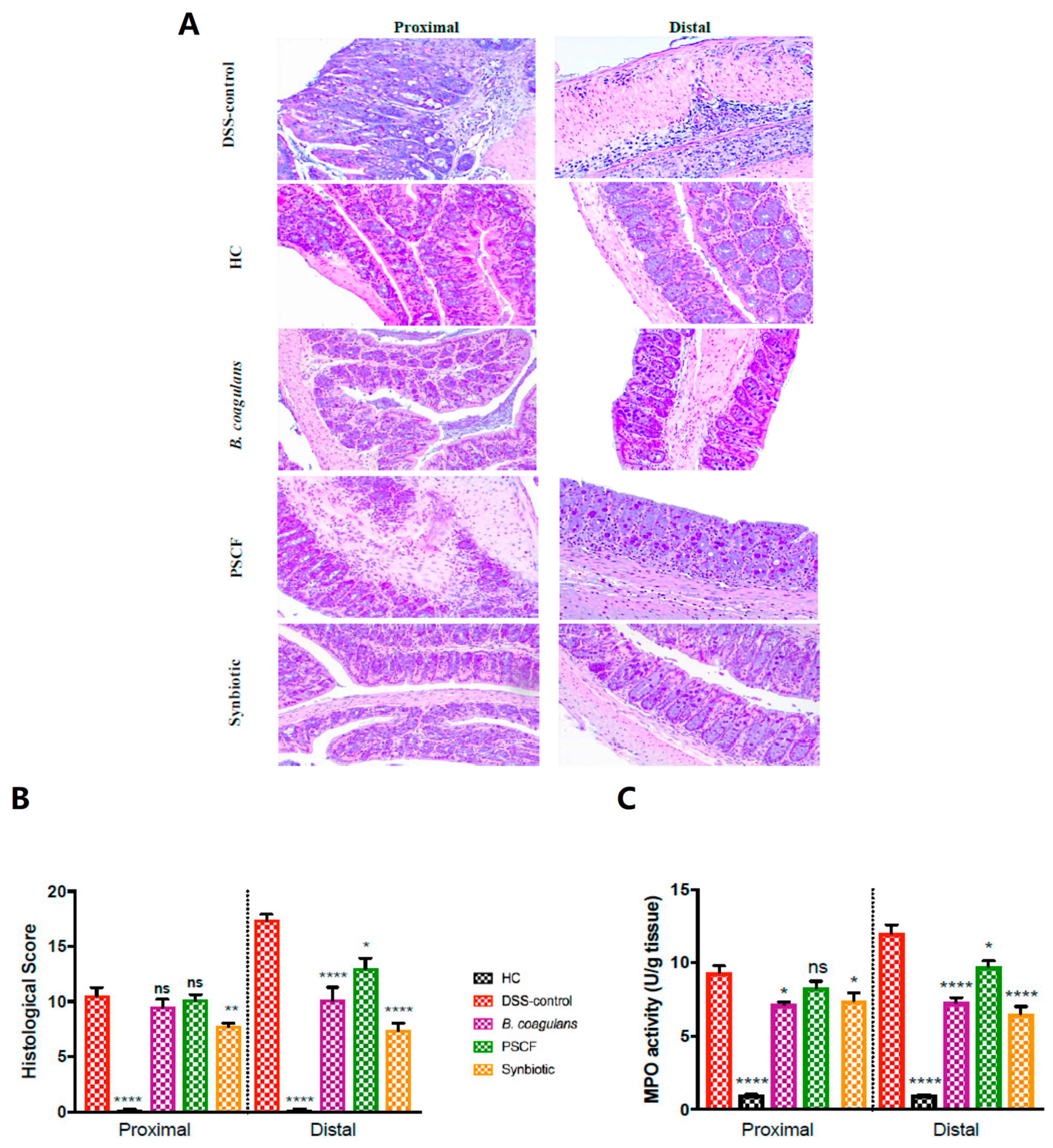 Nutrients 11 00818 g002 Nutrients 11 00818 g002