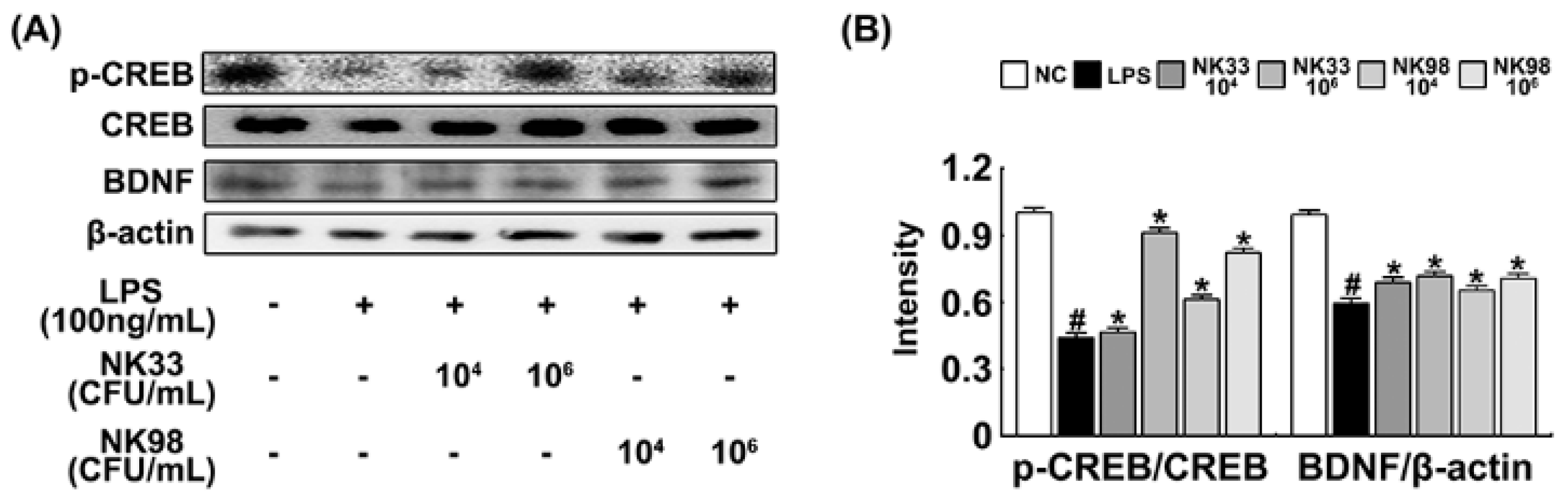 Nutrients 11 00819 g006