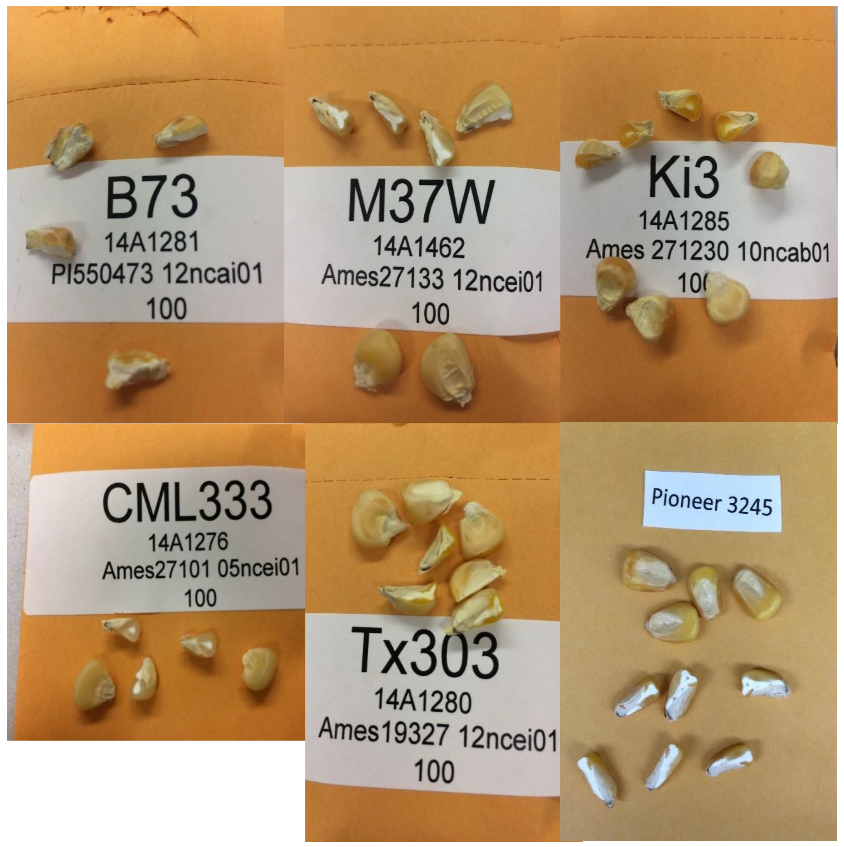 Nutrients 11 00833 g002