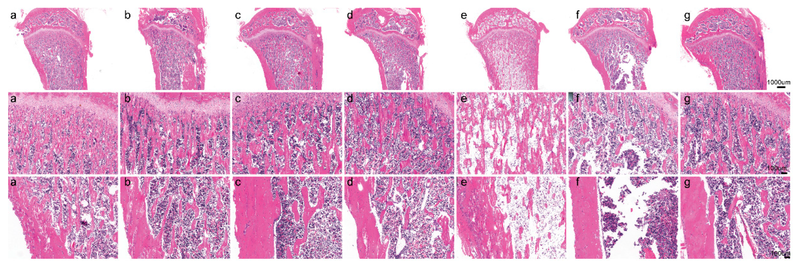 Nutrients 11 00849 g002 550
