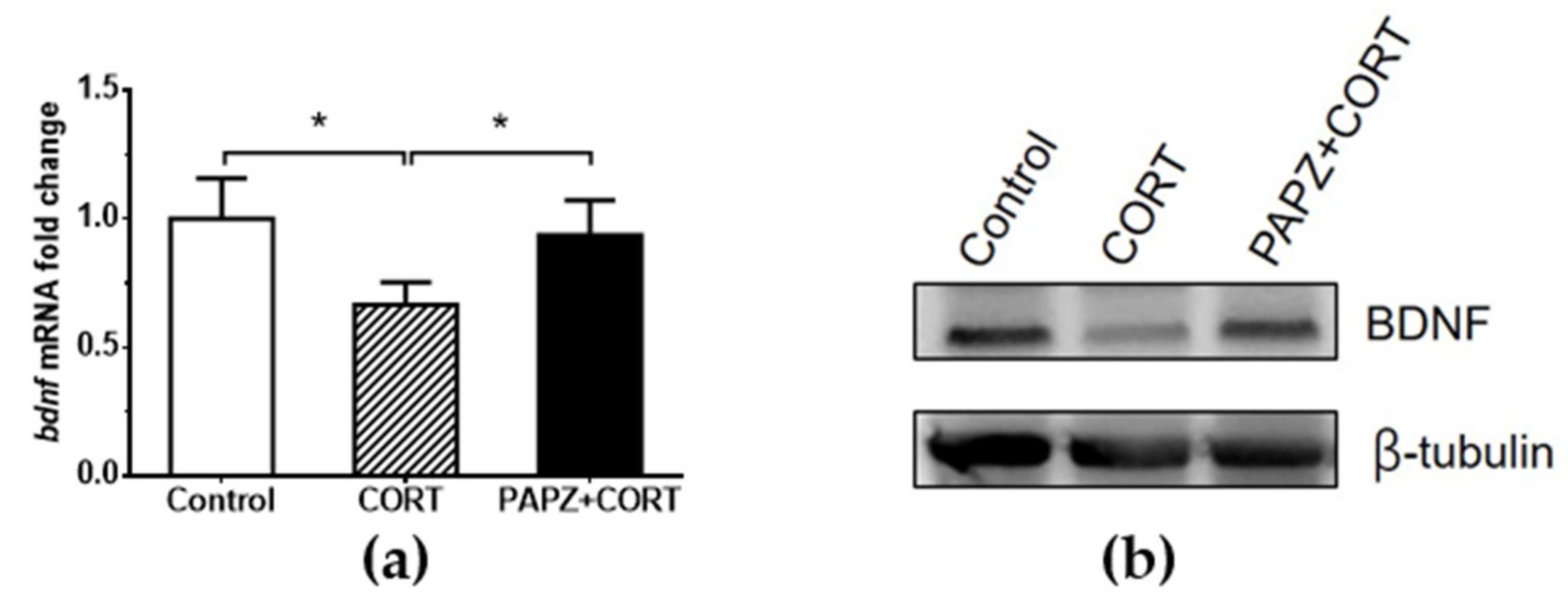 Nutrients 11 00859 g003
