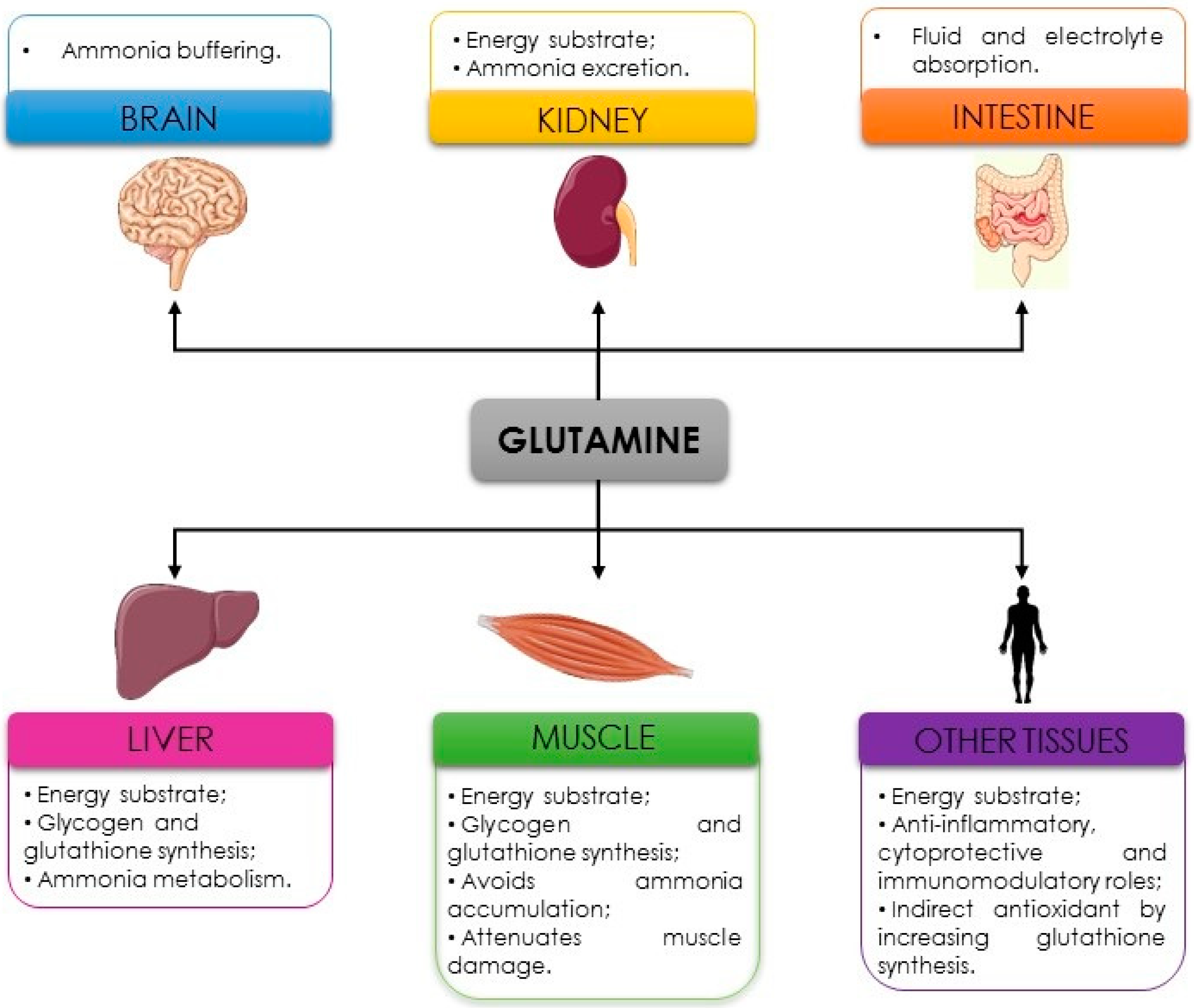 Nutrients 11 00863 g002
