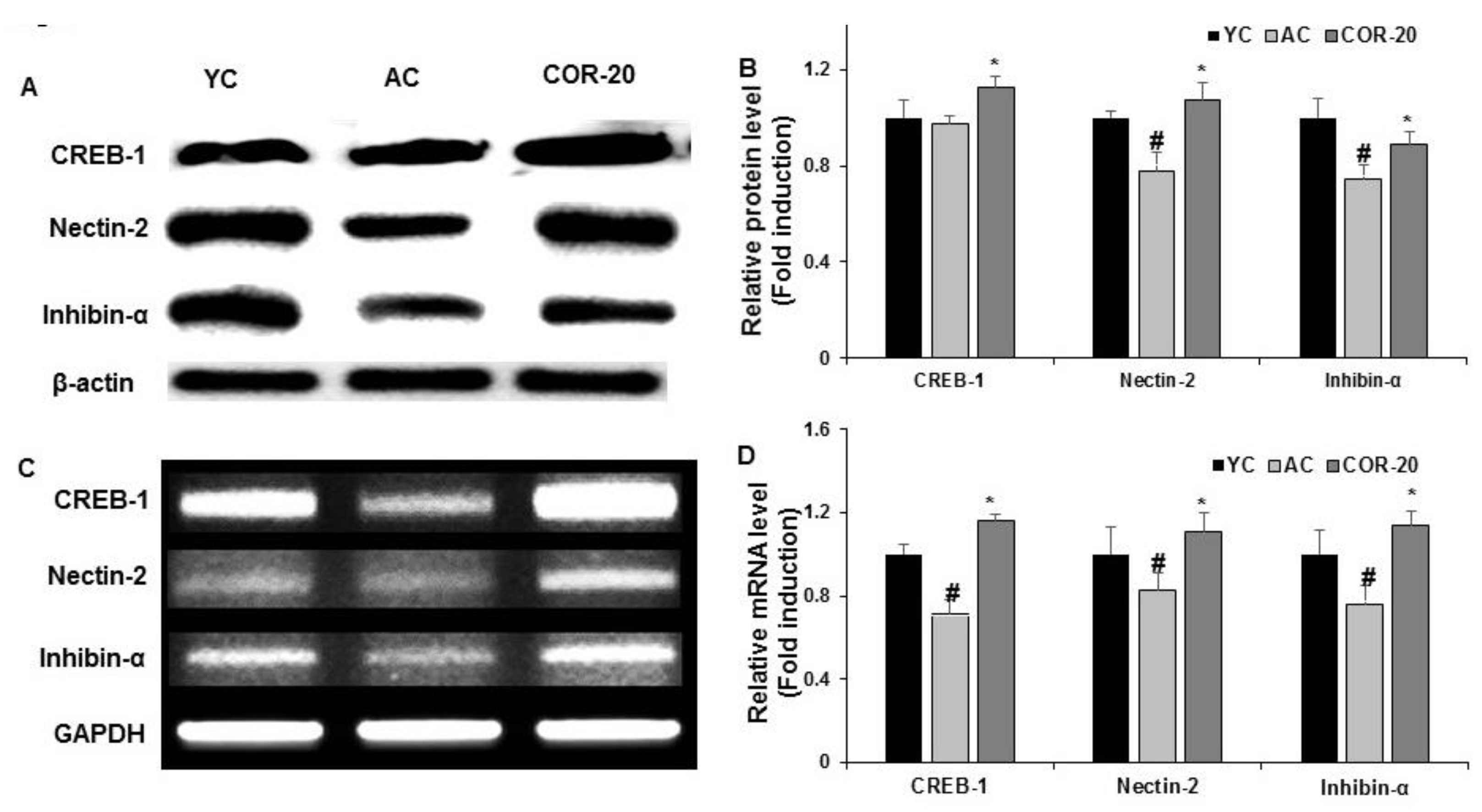 Nutrients 11 00906 g005