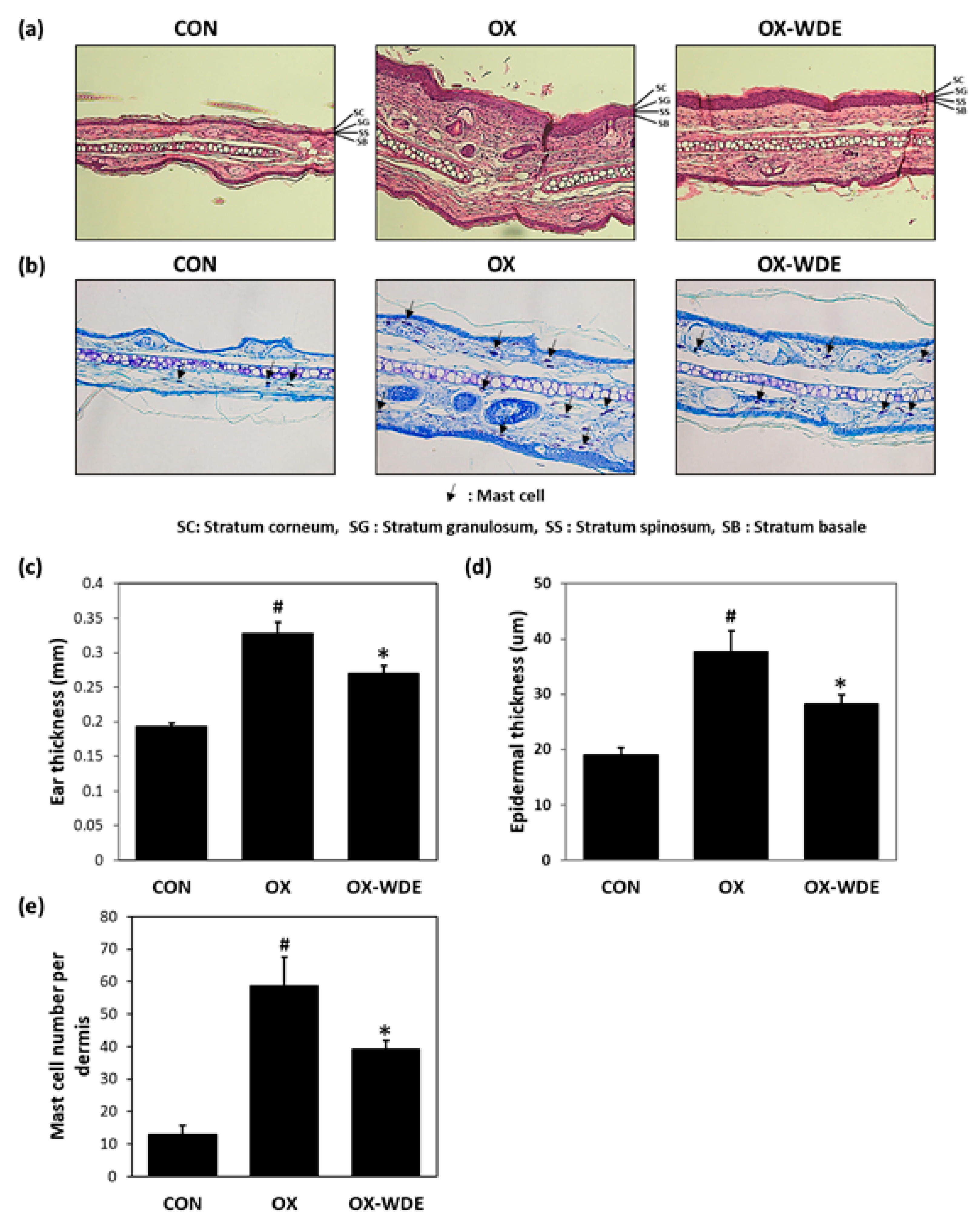 Nutrients 11 00914 g002
