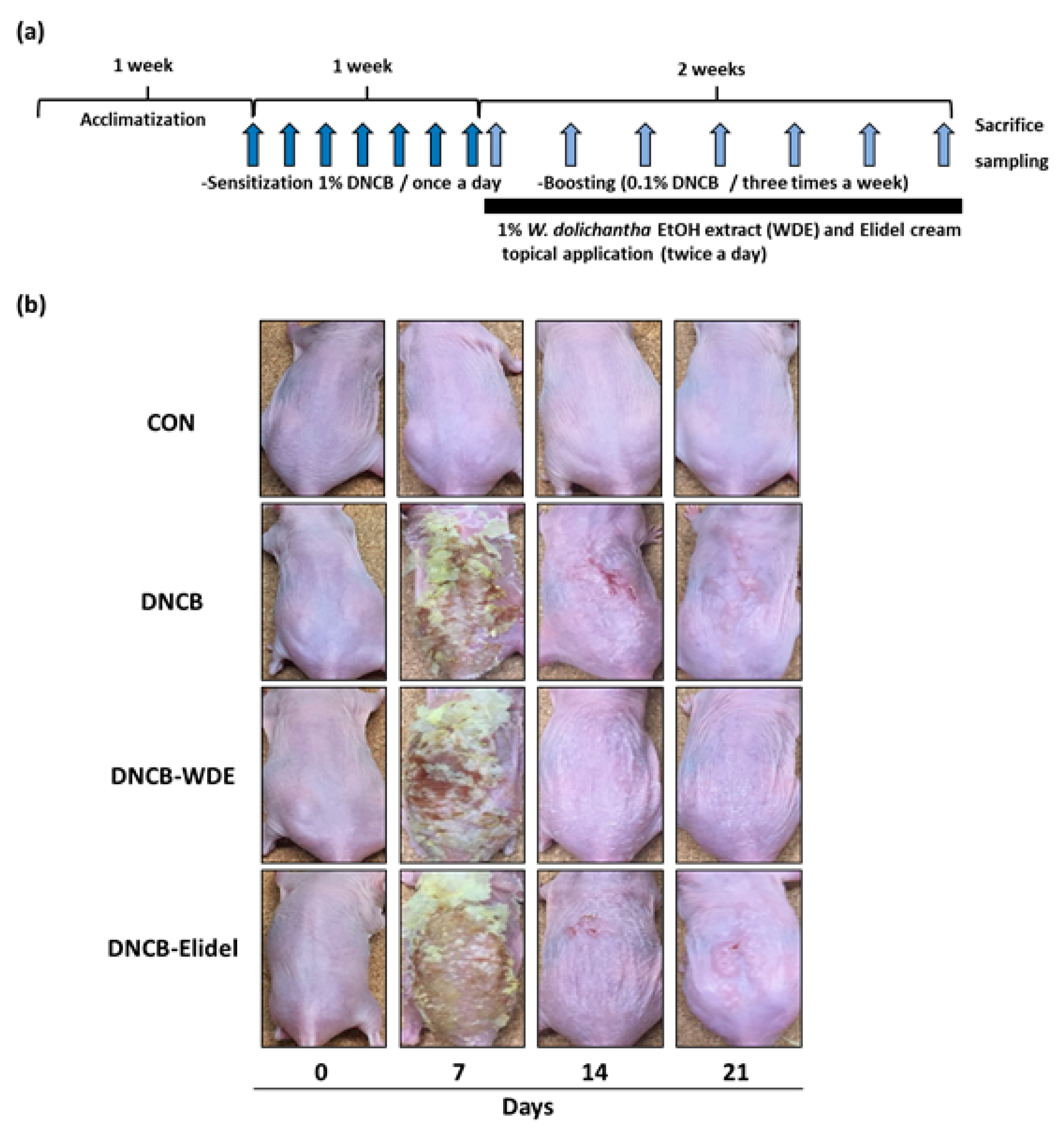 Nutrients 11 00914 g003