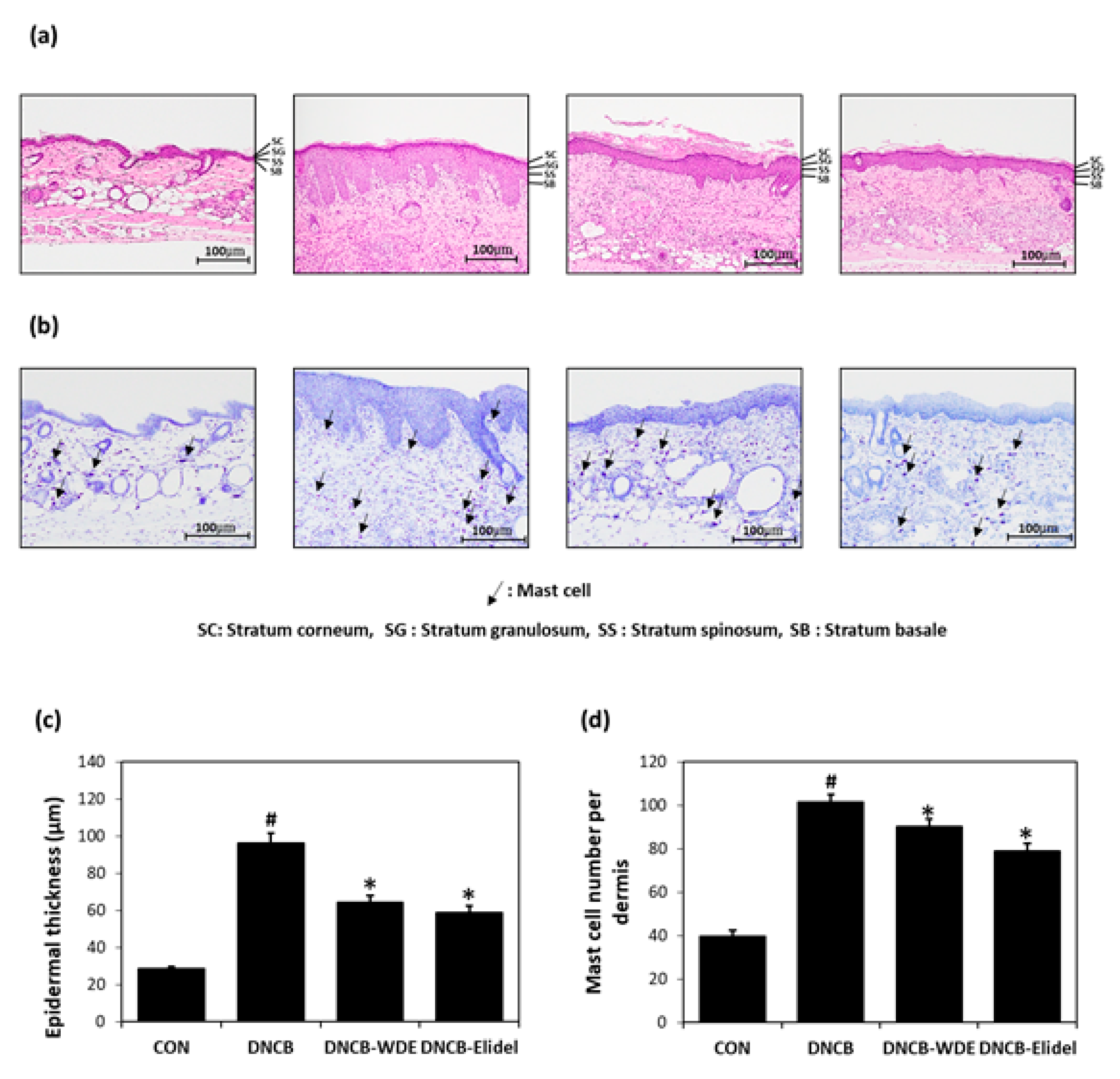 Nutrients 11 00914 g004