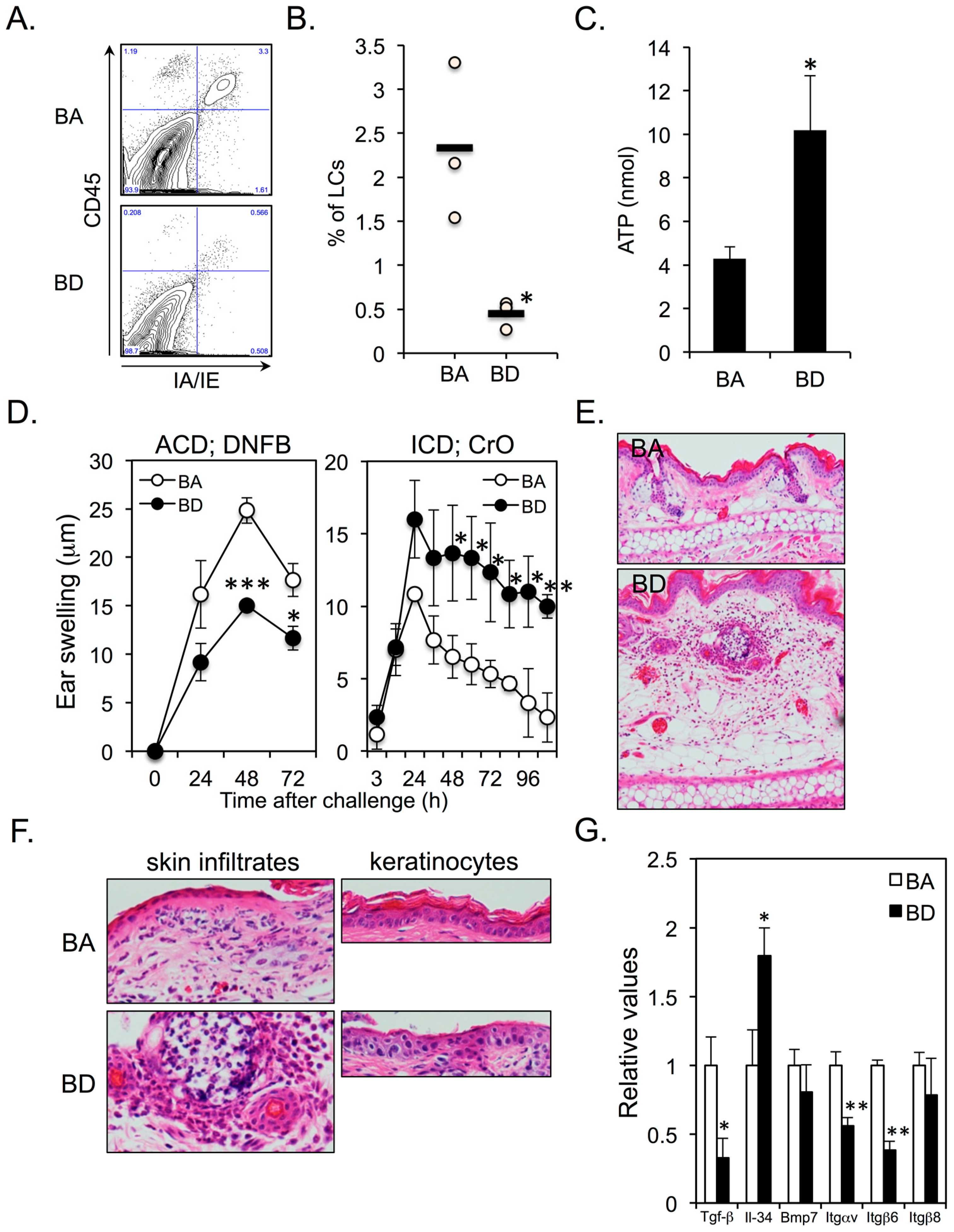 Nutrients 11 00919 g002