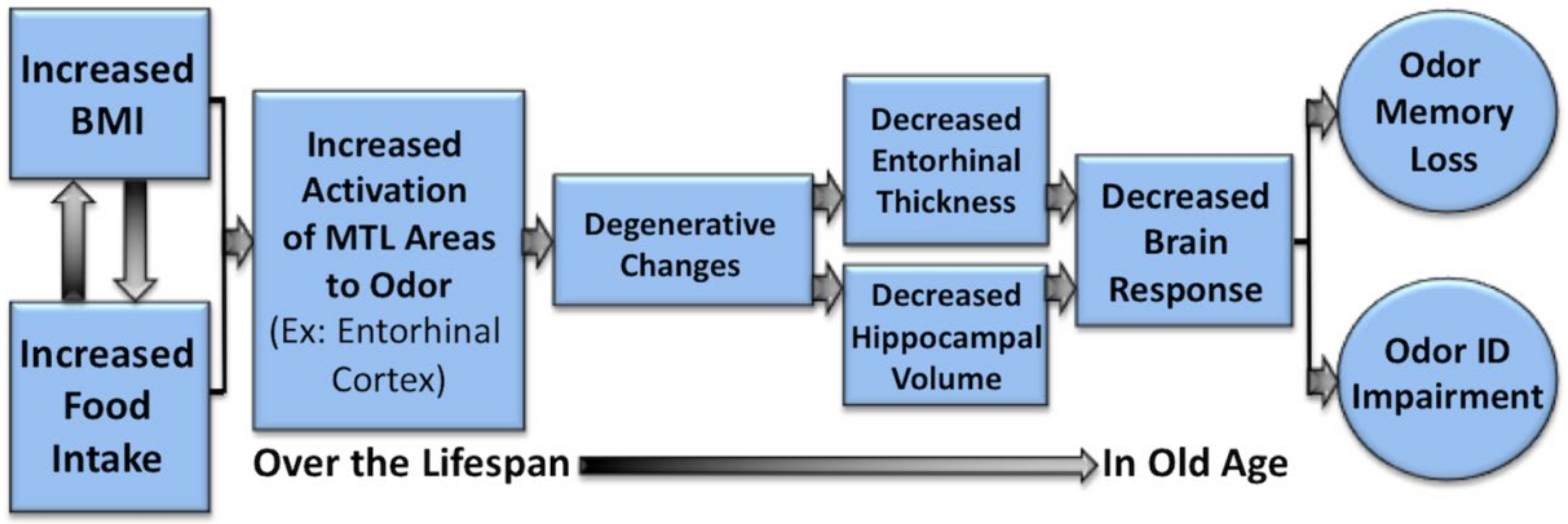 Nutrients 11 00926 g006