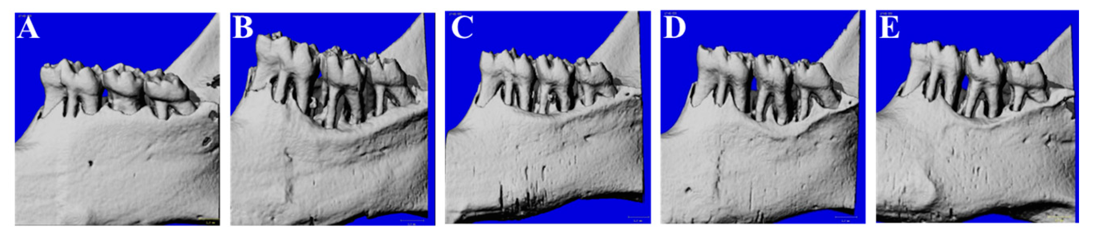 Nutrients 11 00934 g001 Nutrients 11 00934 g001