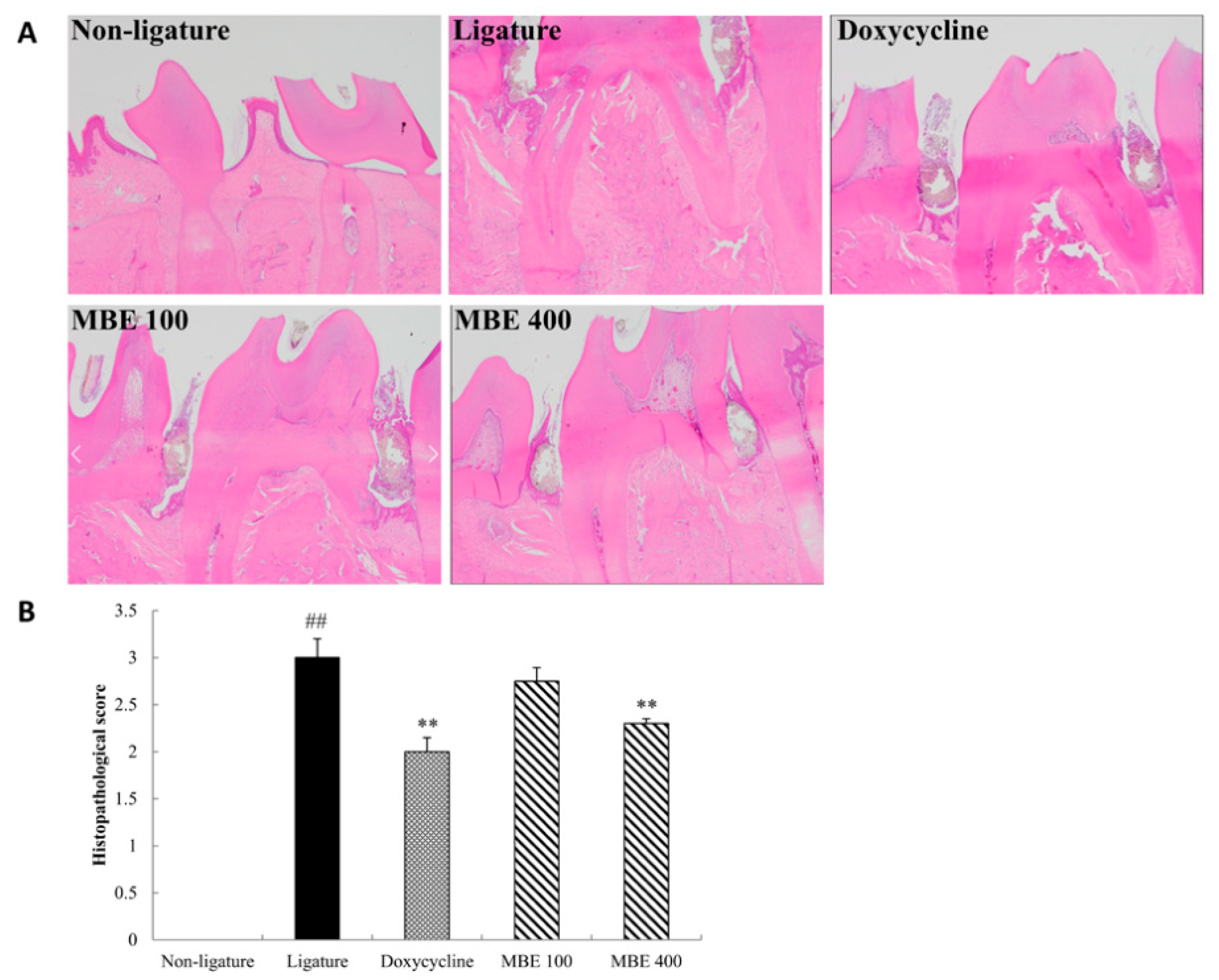 Nutrients 11 00934 g003 Nutrients 11 00934 g003