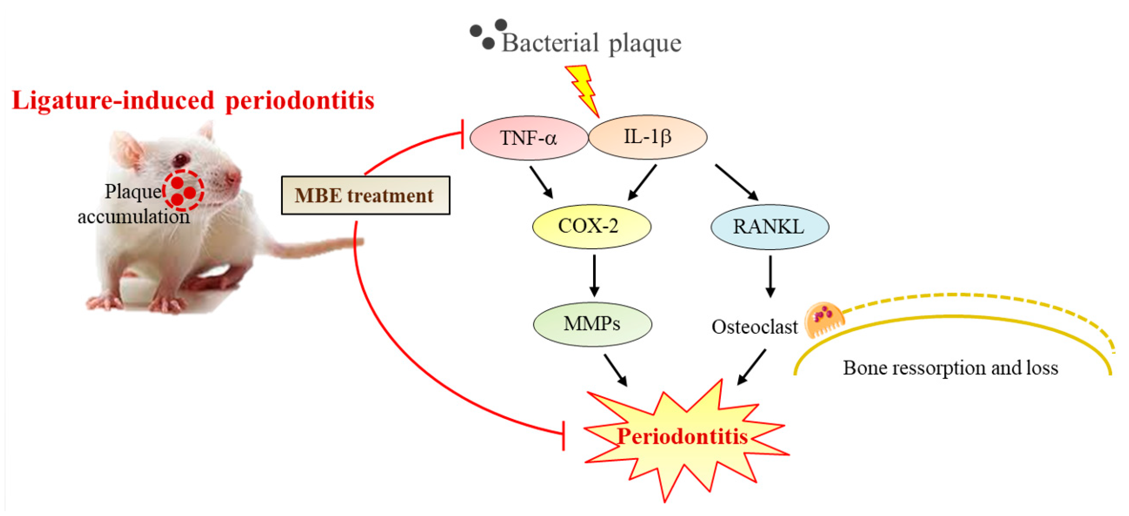 Nutrients 11 00934 g005 Nutrients 11 00934 g005