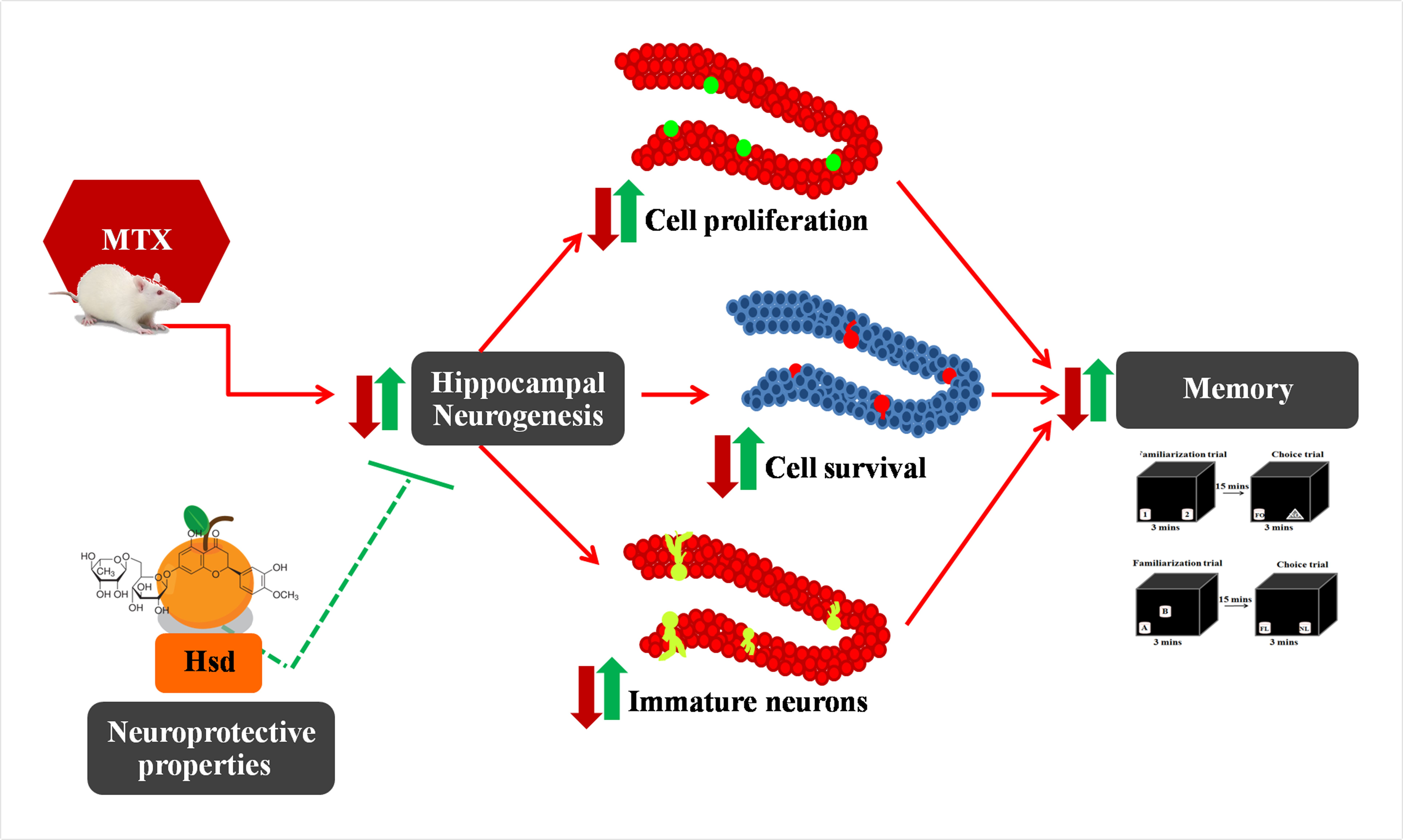 Headers Linked To Memory Deficit In >> Nutrients Free Full Text Hesperidin Alleviates Methotrexate Headers Linked To Memory Deficit In >> Nutrients Free Full Text Hesperidin Alleviates Methotrexate