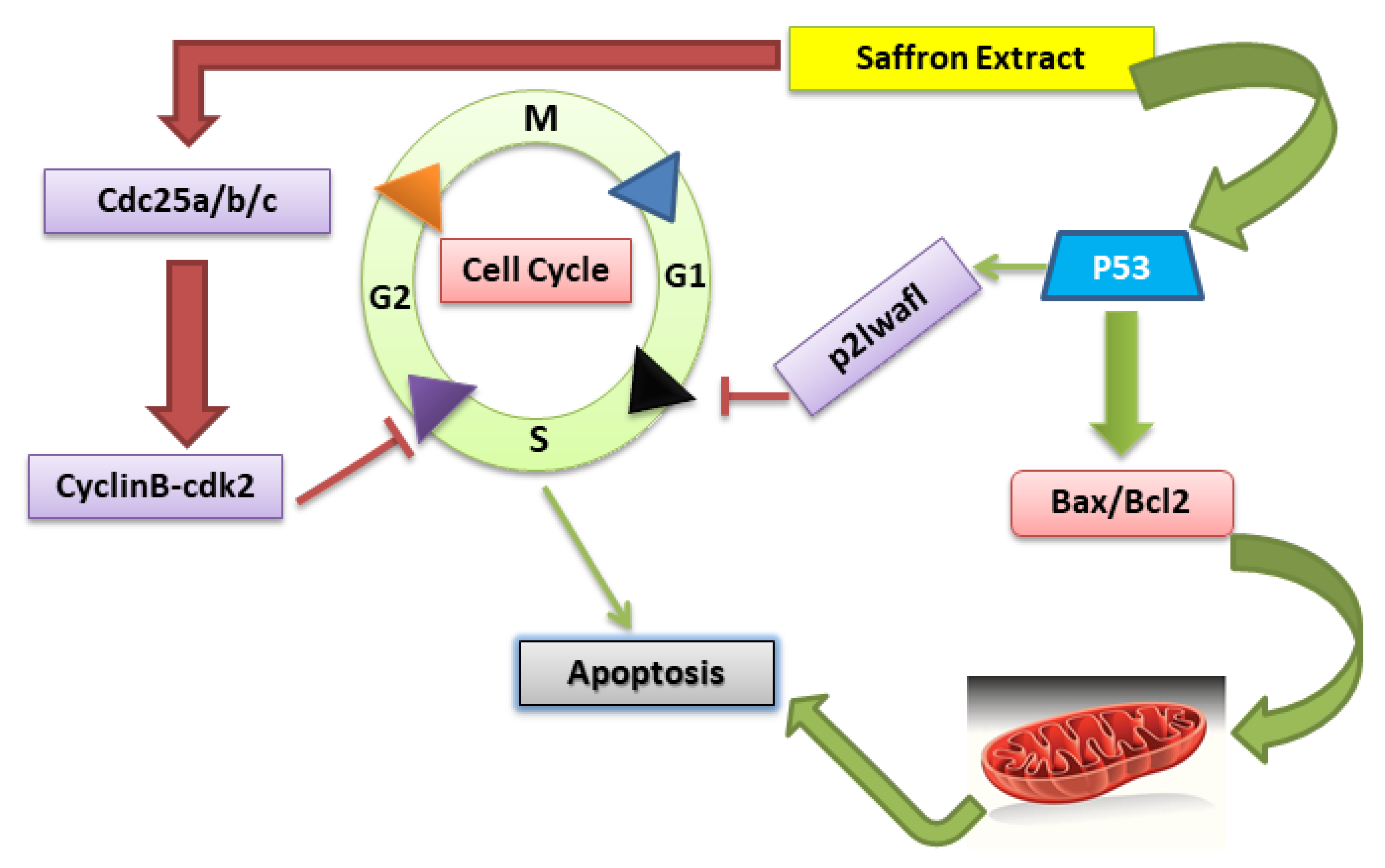 Nutrients 11 00943 g001