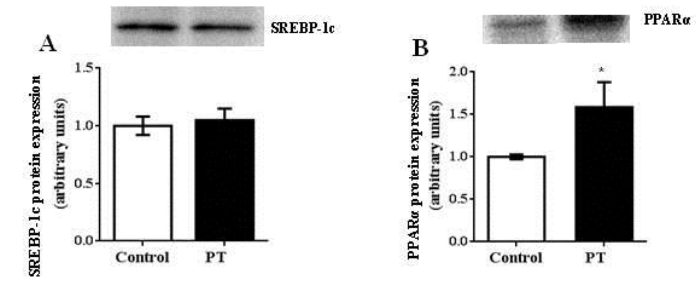 Nutrients 11 00961 g006a
