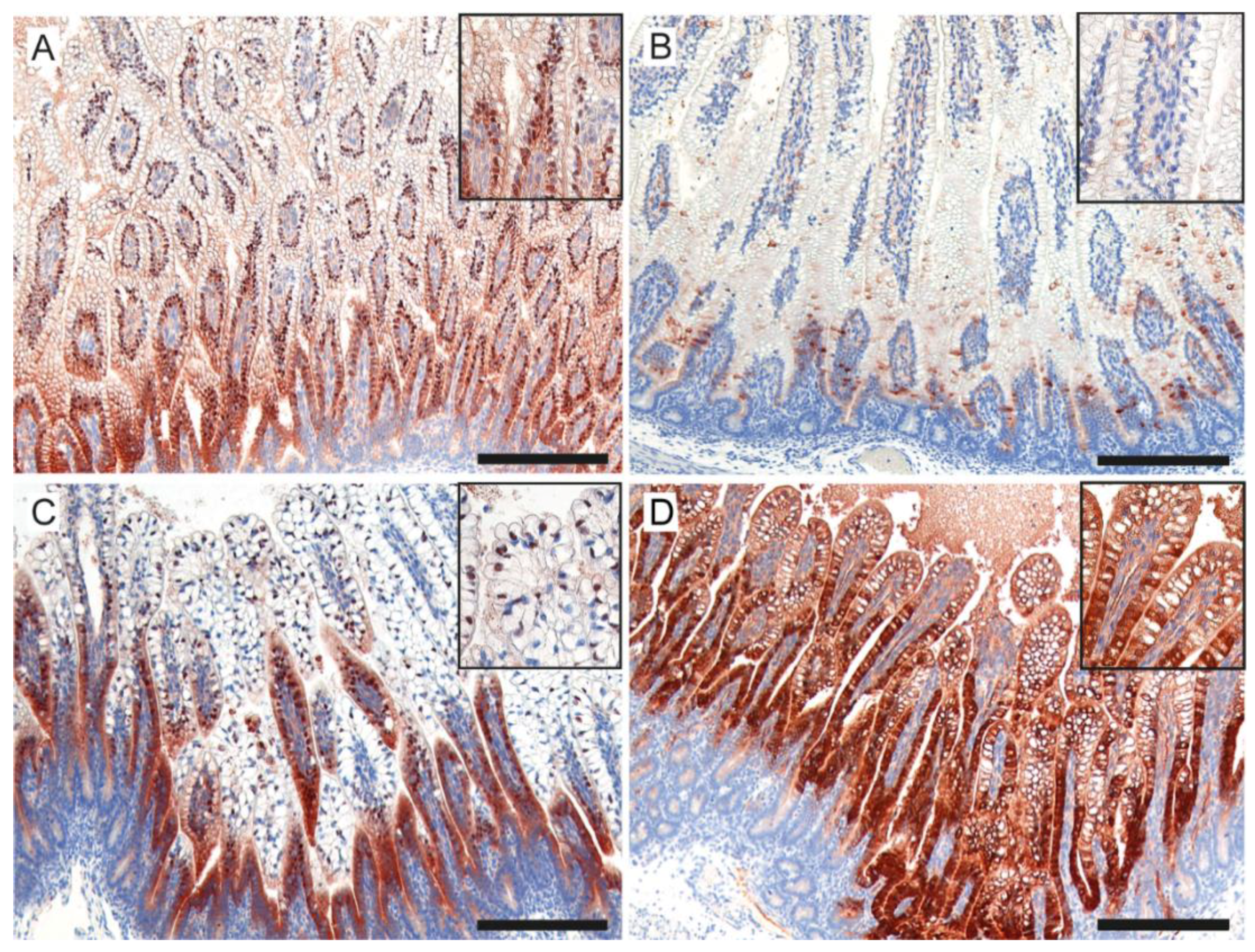Nutrients 11 00968 g008 Nutrients 11 00968 g008