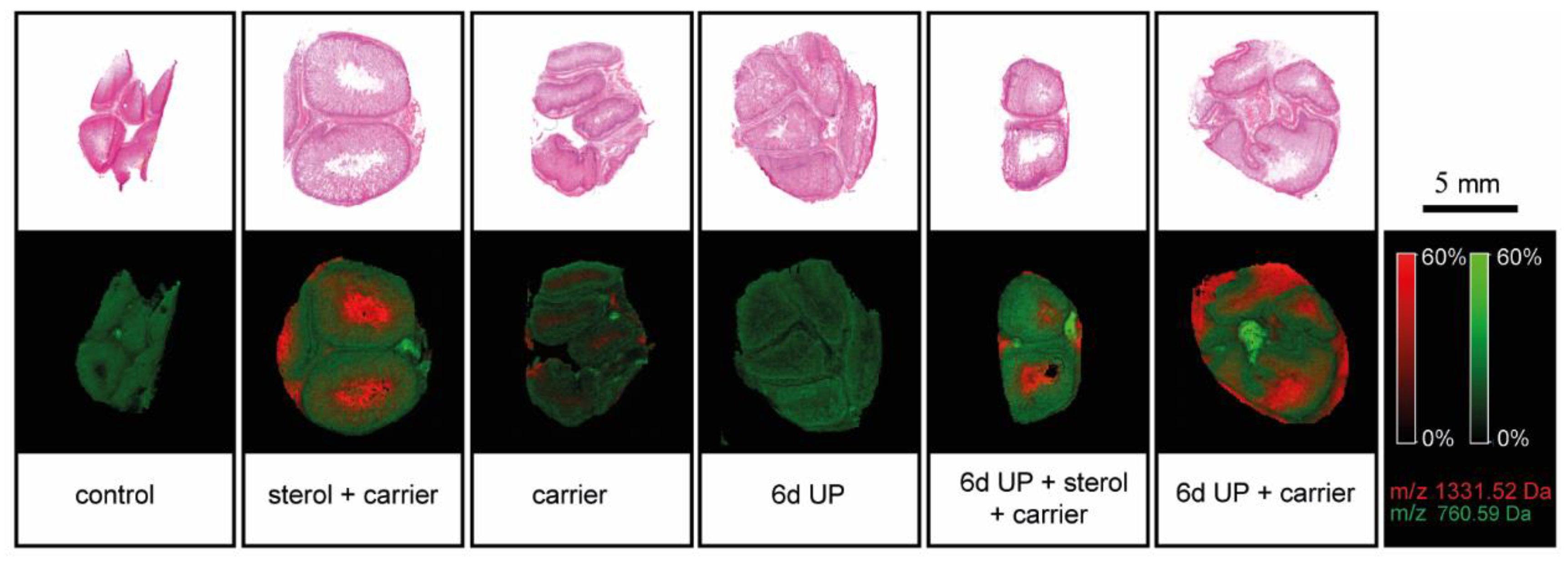 Nutrients 11 00968 g010 Nutrients 11 00968 g010