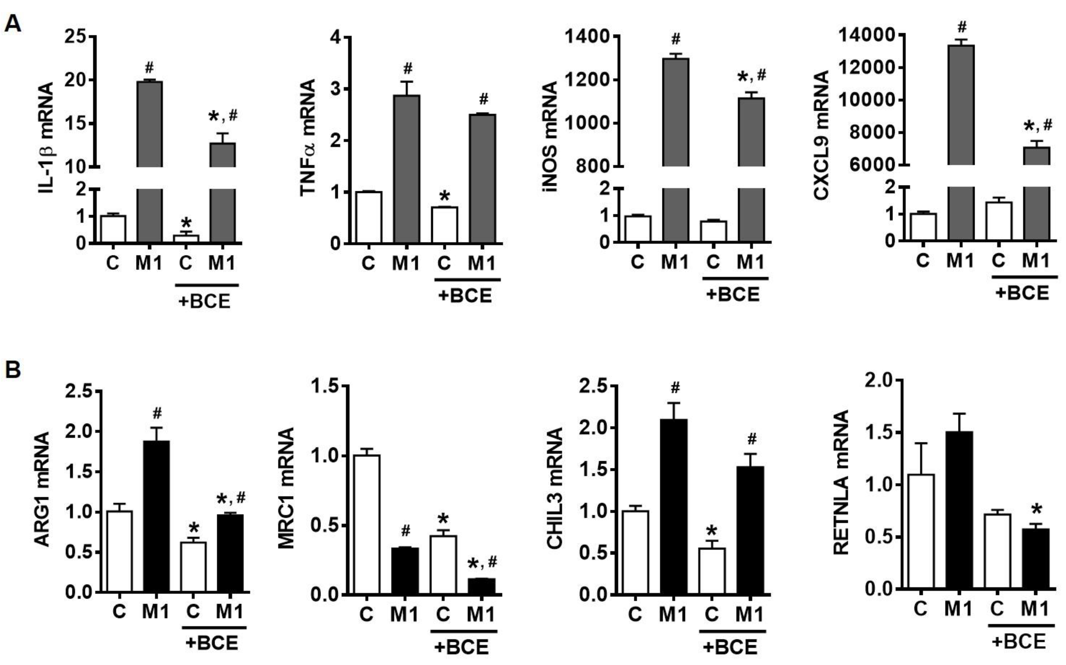 Nutrients 11 00975 g002